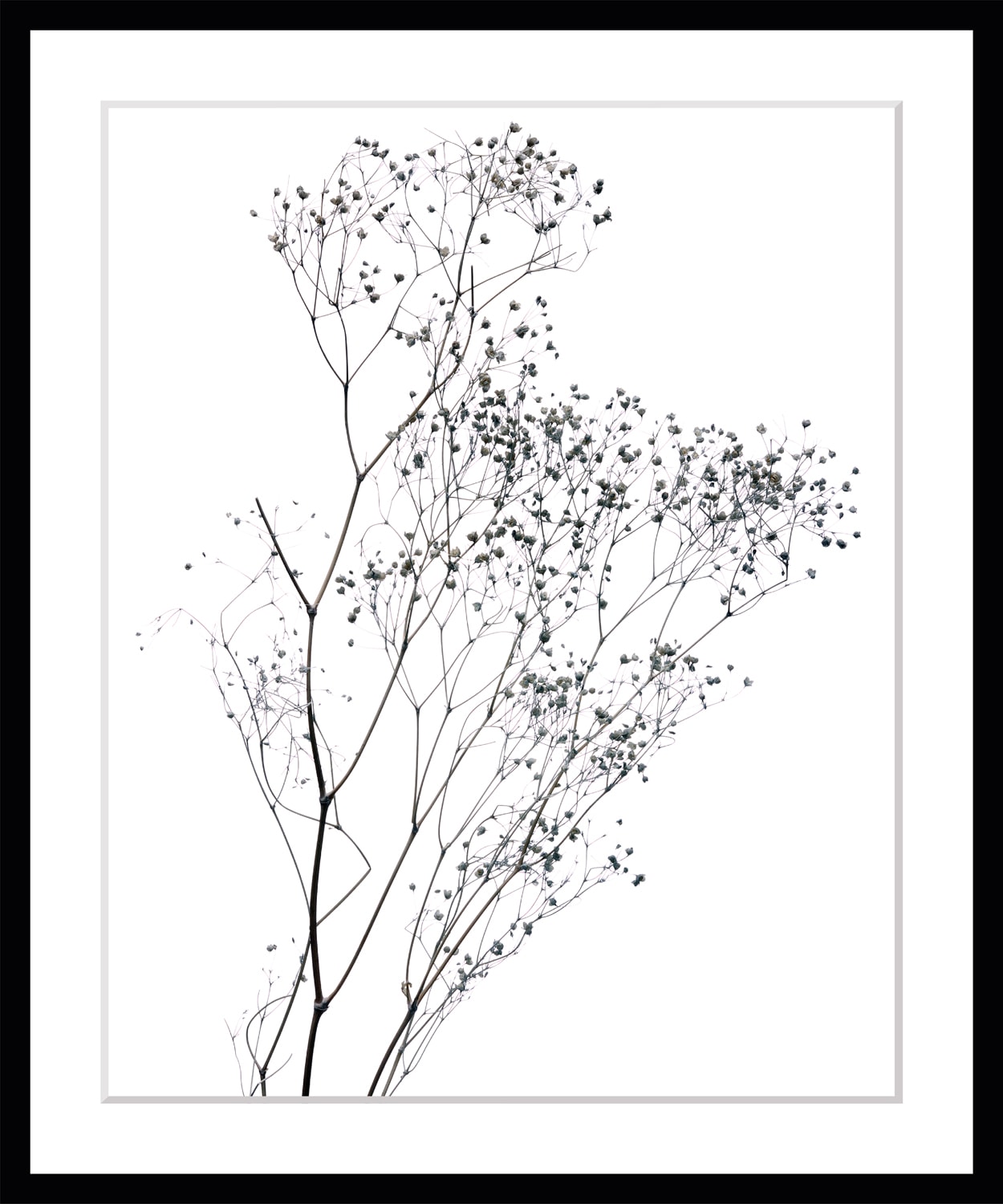 queence Bild »Dana«, Blumen, gerahmt, Blumen