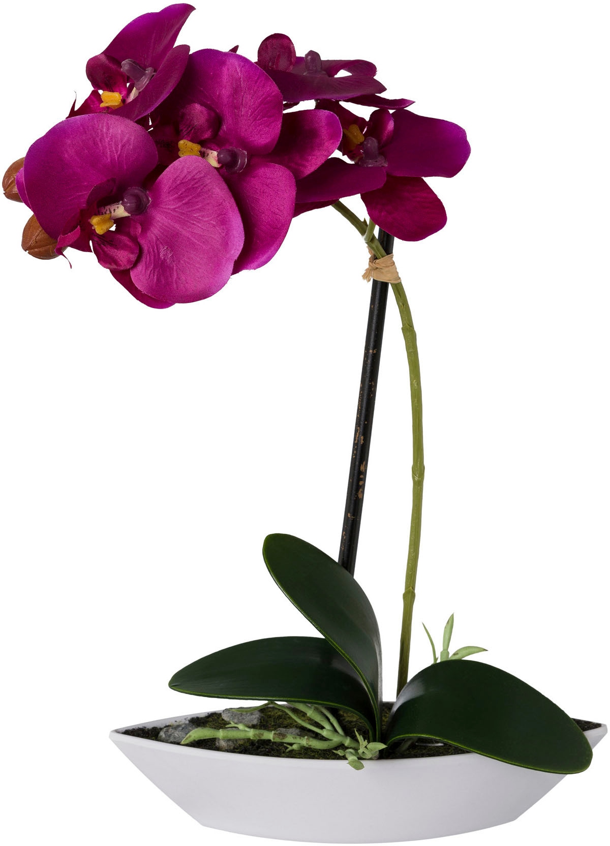 bequem Kunstorchidee Set, »Phalaenopsis«, in green Creativ 2er Kunststoffschale kaufen