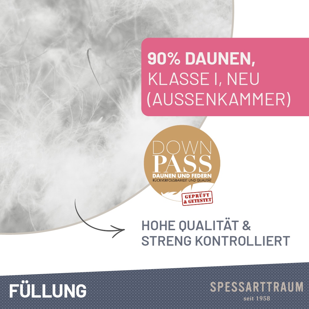 SPESSARTTRAUM 3-Kammer-Kopfkissen »Exklusiv«, Füllung: 90% Daunen / 10% Federn (Außenkammern) und 100% Federn (Innenkammer), Bezug: feiner Daunenbatist, 100% Baumwolle, (1 St.), Kissen vom Hohenstein Institute ausgezeichnet