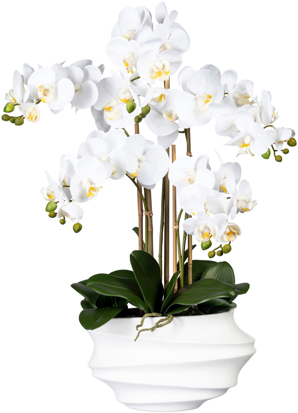 Kunstorchidee »Phalaenopsis«, in Design-Kunststoffvase