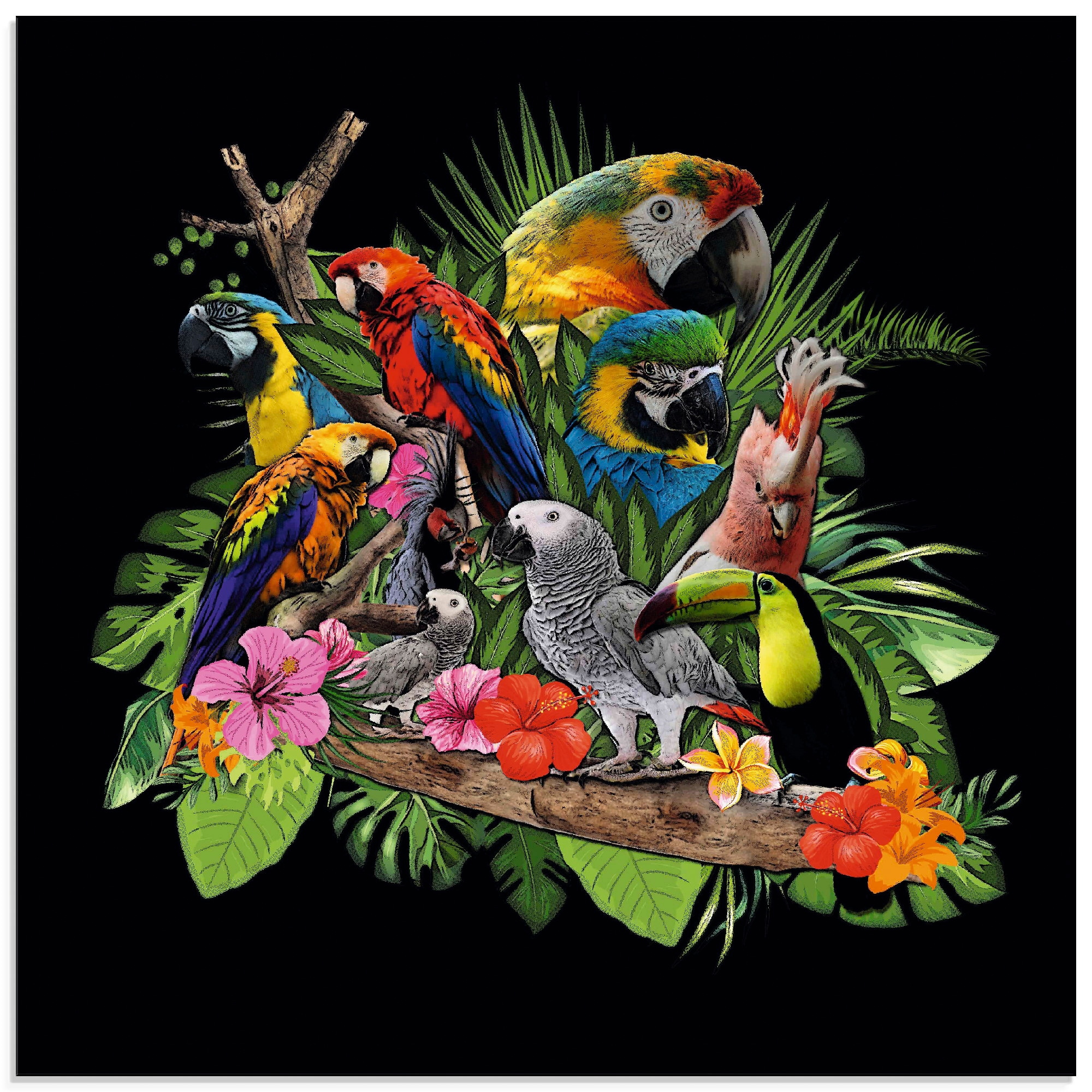 Artland Glasbild »Papageien Graupapagei Kakadu Dschungel«, Vögel, (1 St.), in verschiedenen Größen