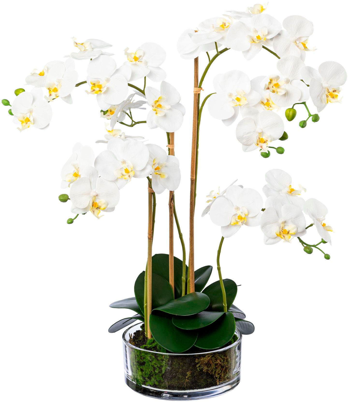 Kunstorchidee »Phalaenopsis im Glas«