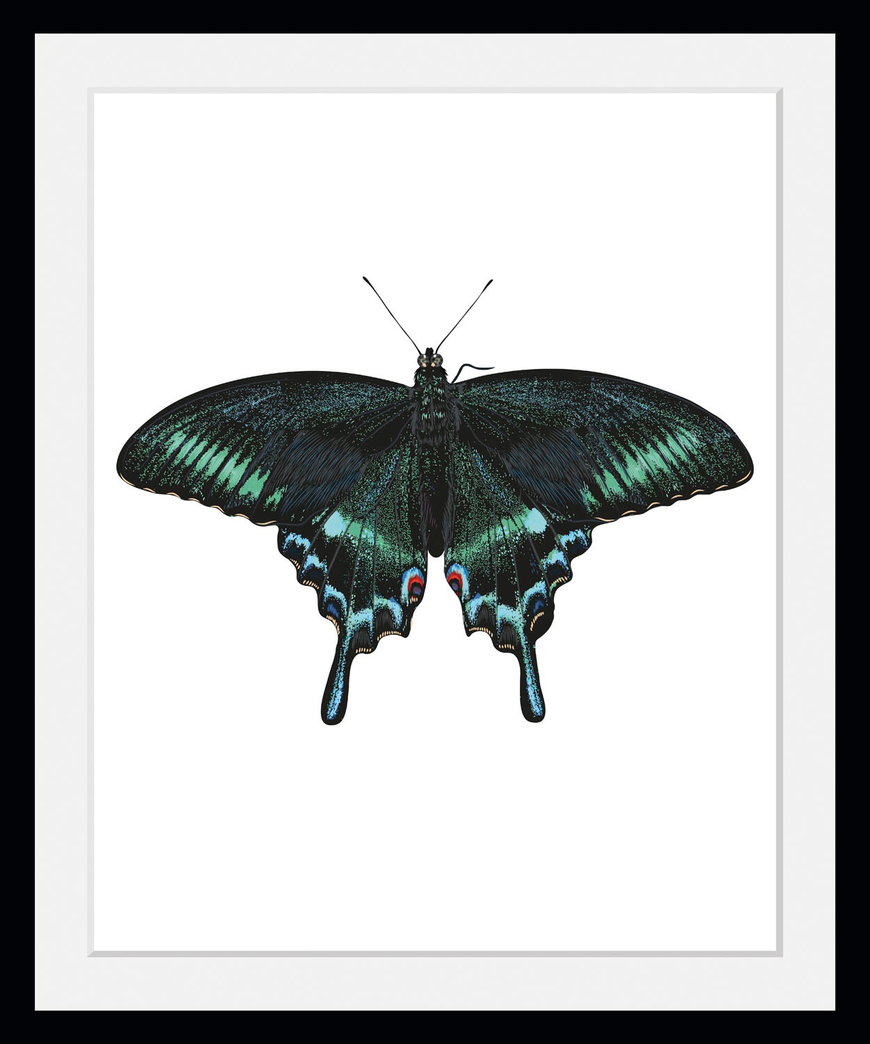 queence Bild »Lana«, Schmetterlinge-Kunst-Insekten, (1 St.), HD Premium Poster-Druck inkl. Holzrahmen