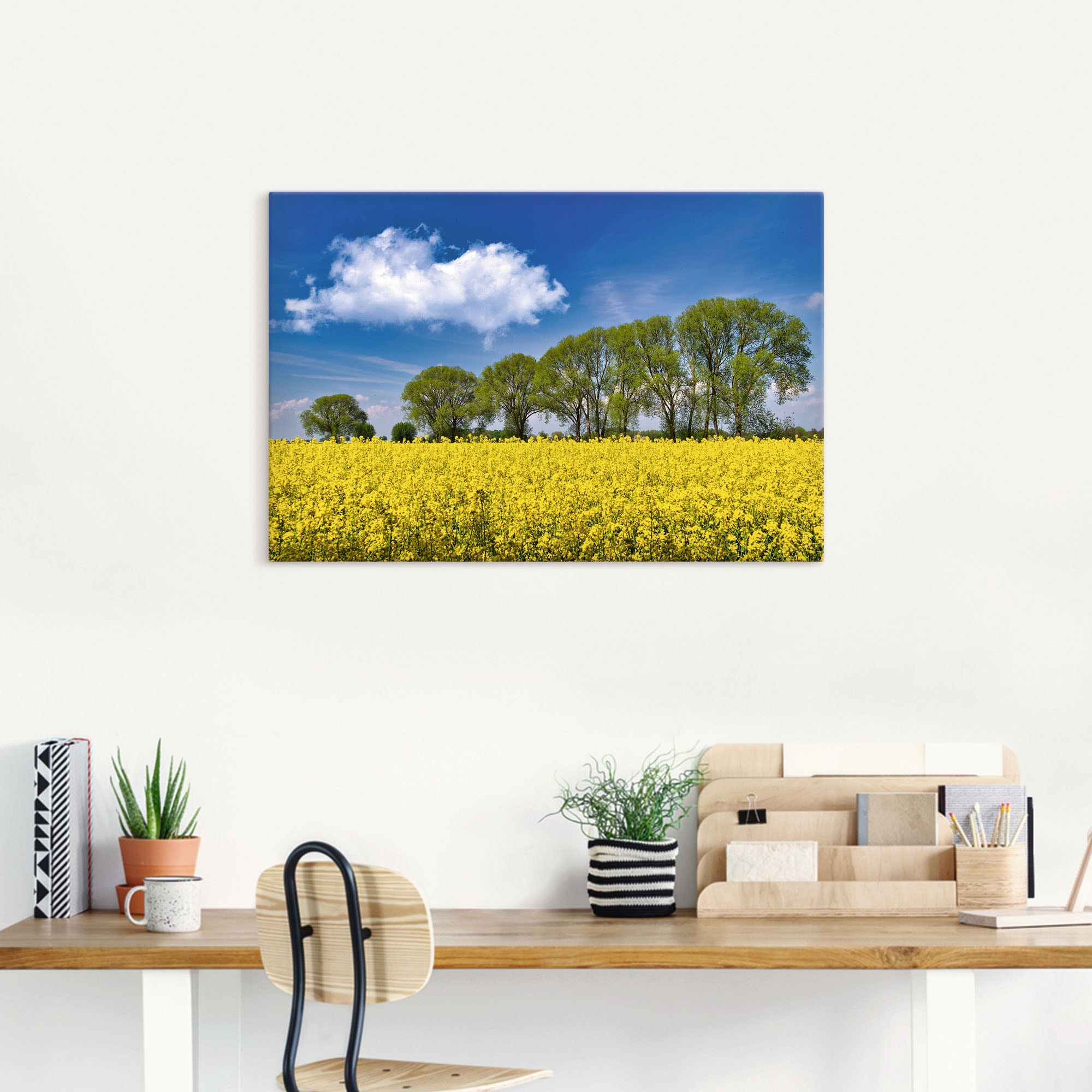 Artland Leinwandbild »Rapsfeld im Frühling«, Felder, (1 St.), auf Keilrahmen gespannt