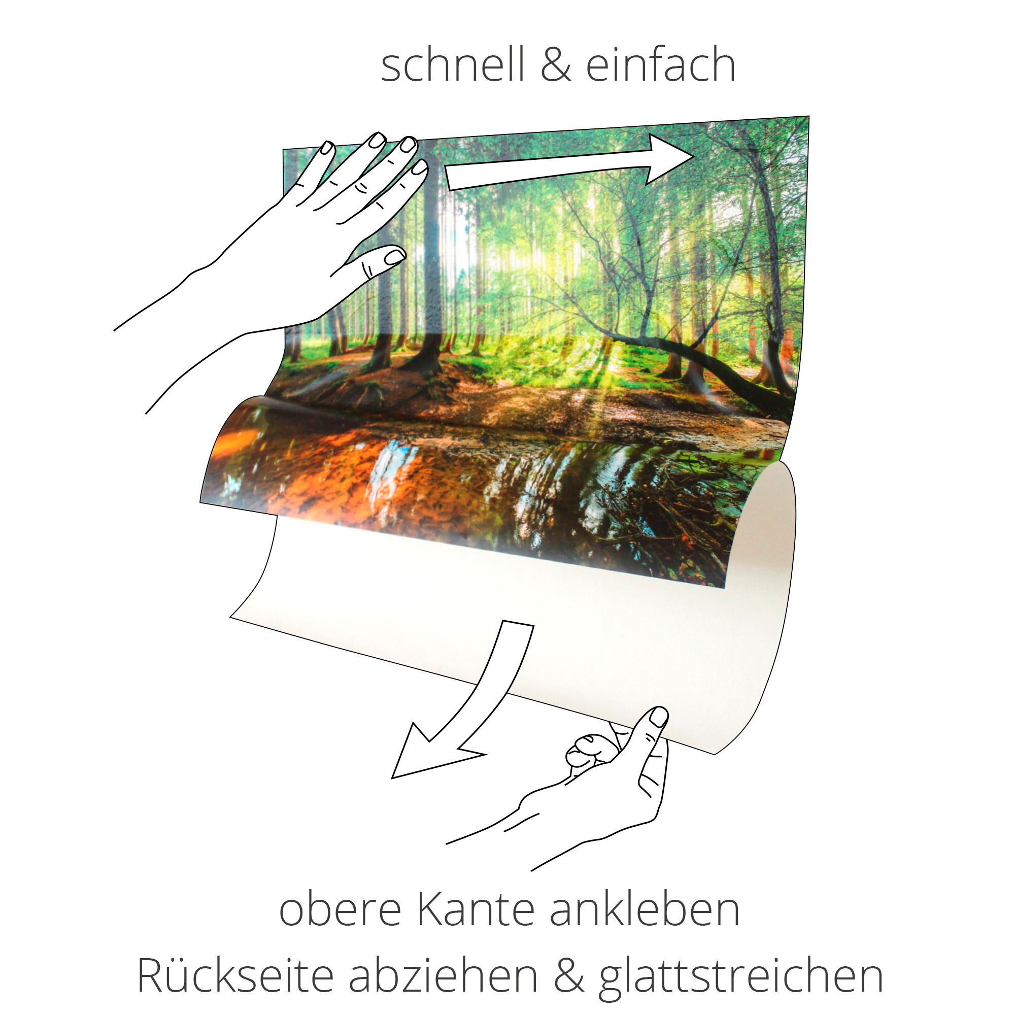 Artland Wandbild hängt Wandaufkleber Größen am St.), Wildtiere, Poster auf Seil I«, Utan (1 als Alubild, kaufen oder in »Baby versch. Leinwandbild, Orang Rechnung