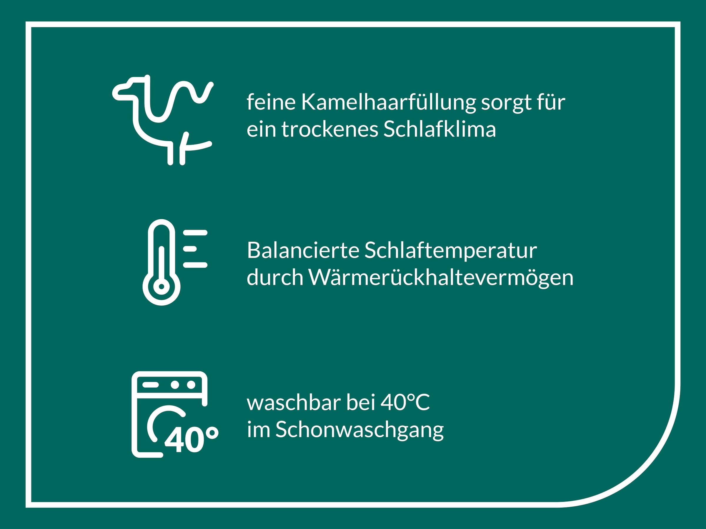 fan Naturhaarbettdecke »Gobi, Bettdecken für Sommer und Winter, Decke«, leicht, Füllung Kamelhaar, Bezug Baumwolle, (1 St.), Klimatisierende Kamelhaar-Füllung - Made in Germany