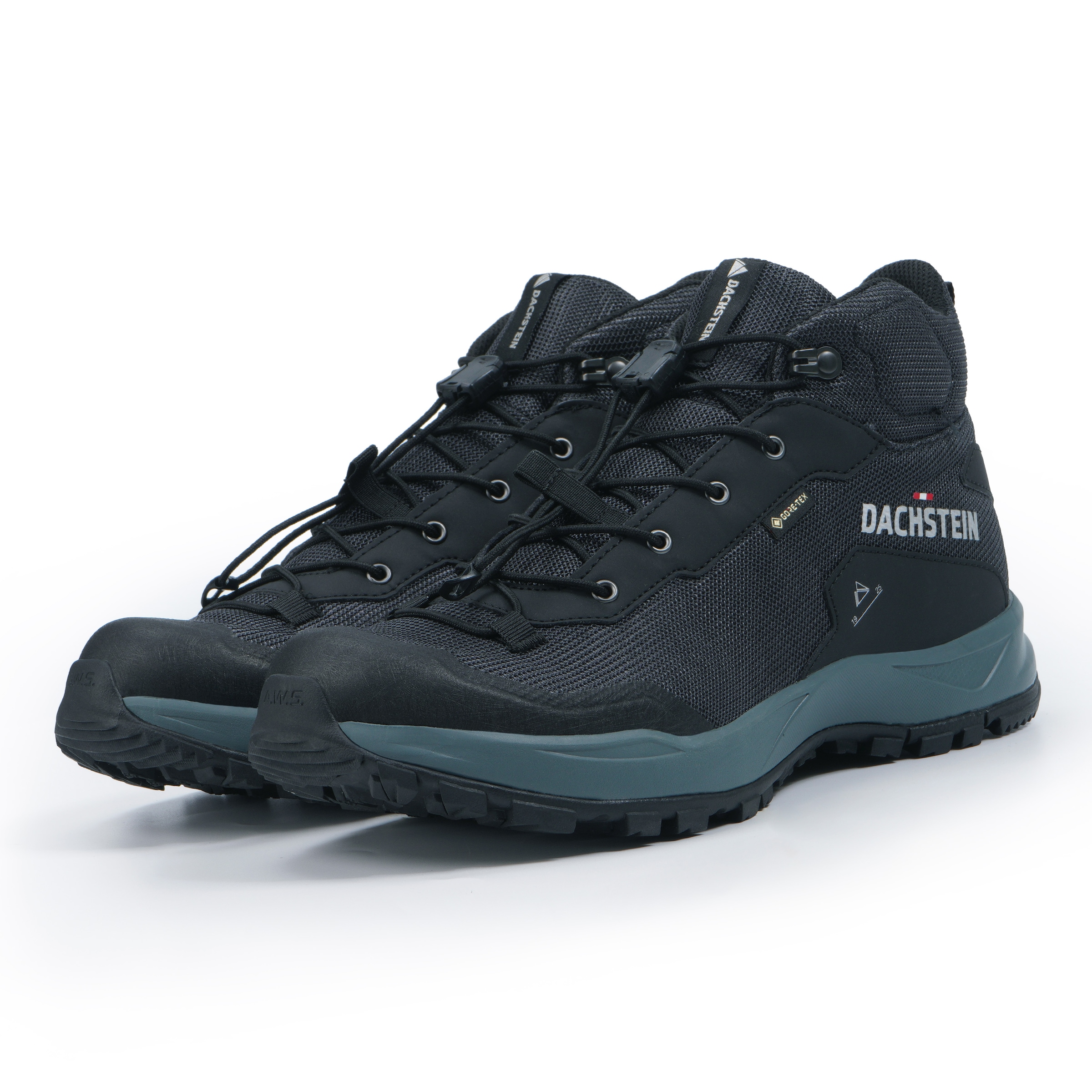 Dachstein Wanderschuh »DELTA ASCENT MC GTXW«, wasserdicht