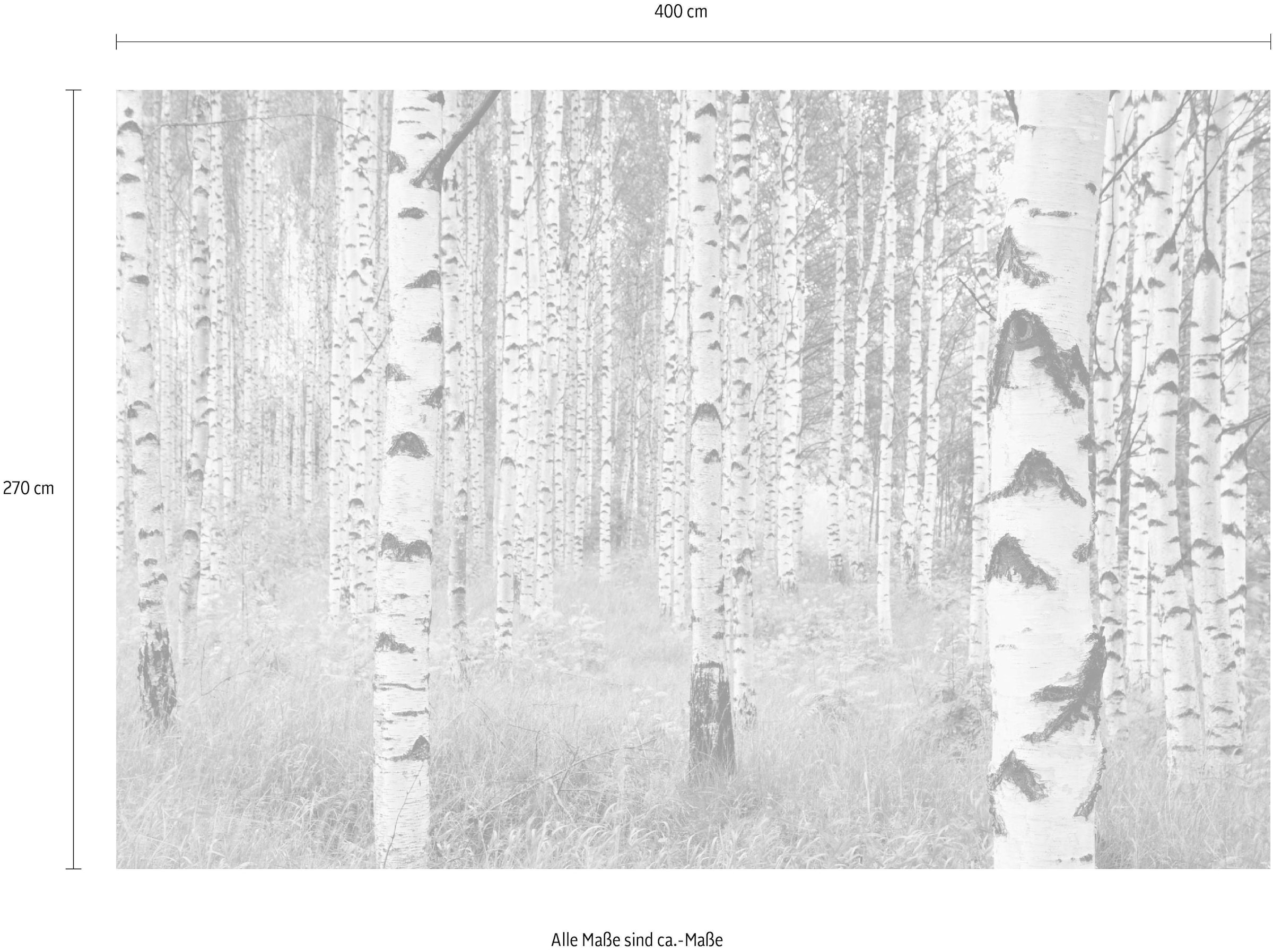 Komar Vliestapete »Digitaldruck Vlies -  Woods - Größe 400 x 270 cm« bedruckt glatt Wohnzimmer, Schlafzimmer