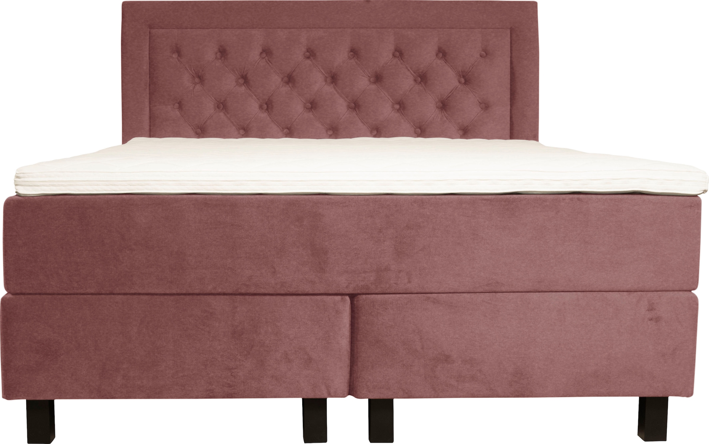 Leonique Boxspringbett »Jeanne« inkl. Topper mit Taschen-Federkernmatratze