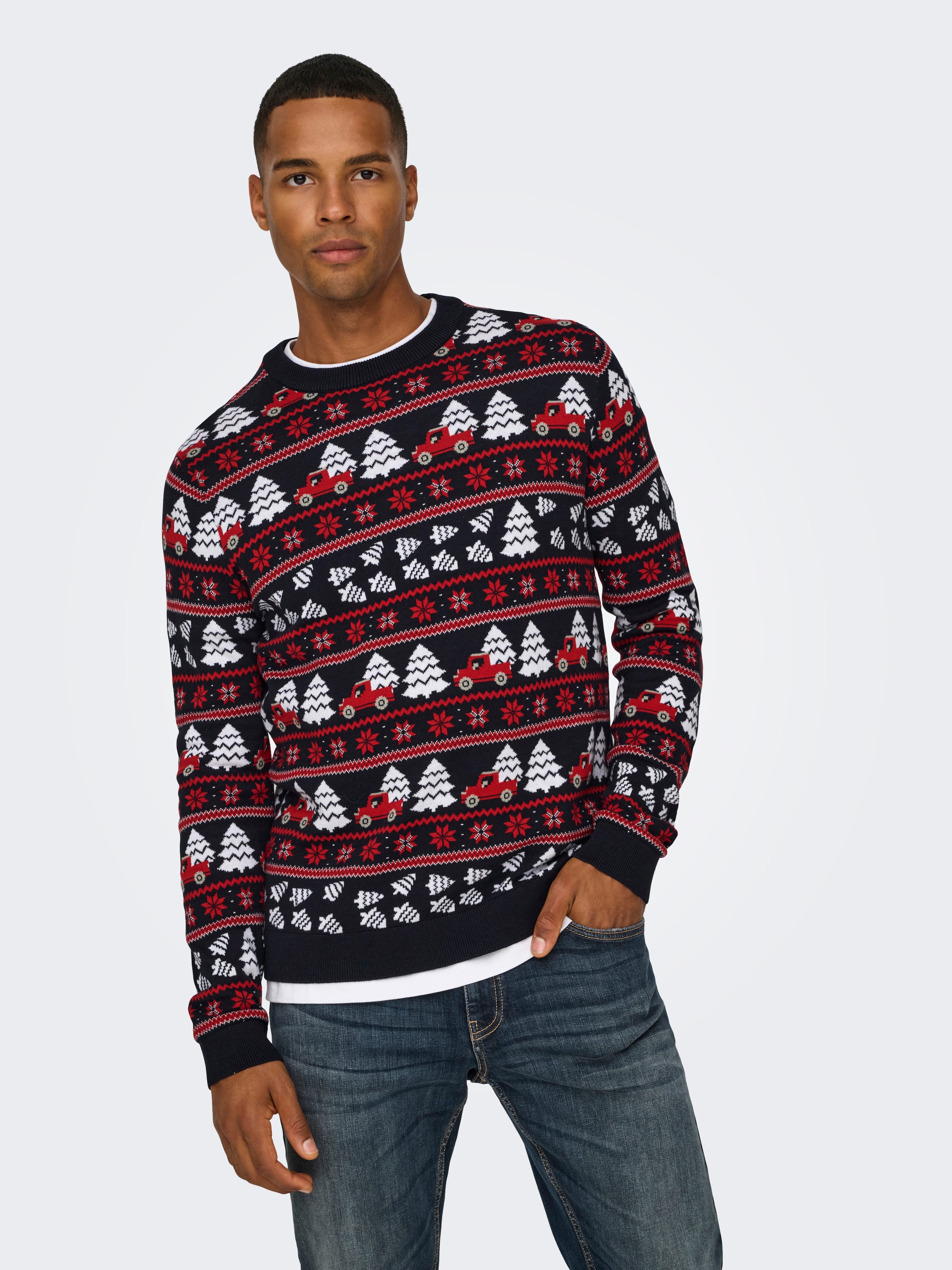 ONLY & SONS Rundhalspullover »ONSXMAS REG 5 JAQ CREW KNIT«