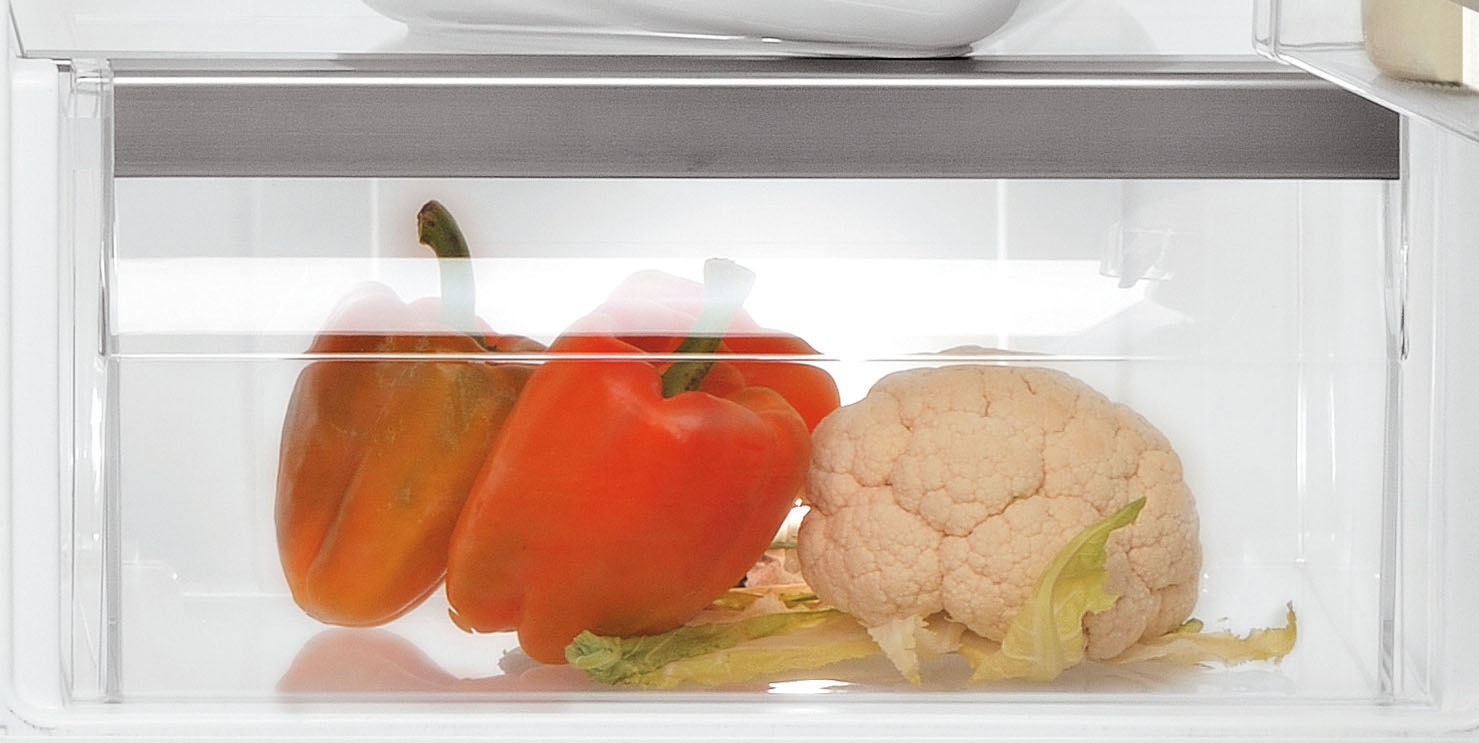 BAUKNECHT Einbaukühlschrank »KSI 12VF2«