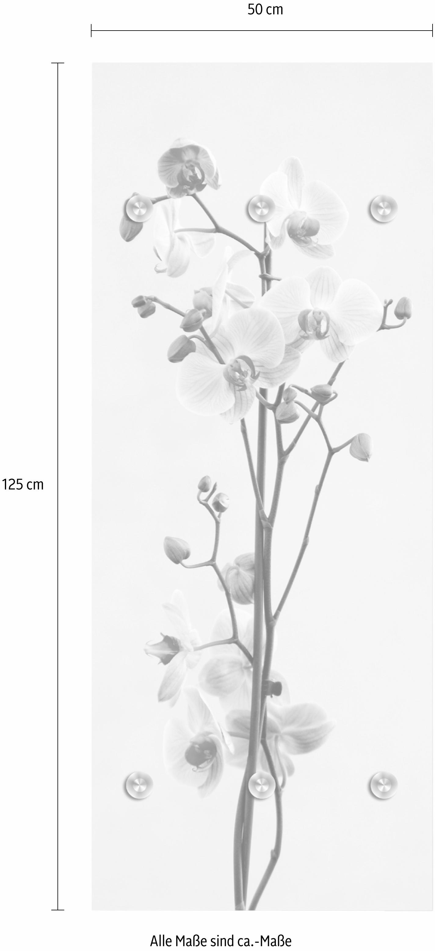 queence Garderobenleiste »Orchidee«, mit 6 Haken, 50 x 120 cm