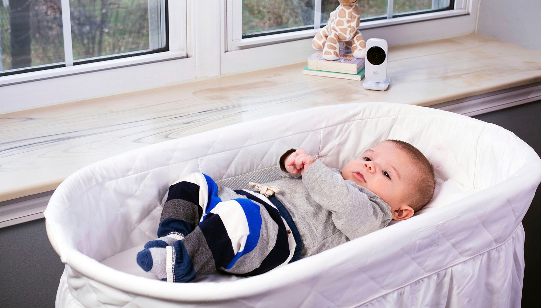Motorola Babyphone »Video Nursery VM481«, 2-Zoll-Farbdisplay