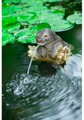 Ubbink Wasserspeier »Otter«, Schwimmt auf dem Wasser, BxLxH: 21x22x19 cm kaufen