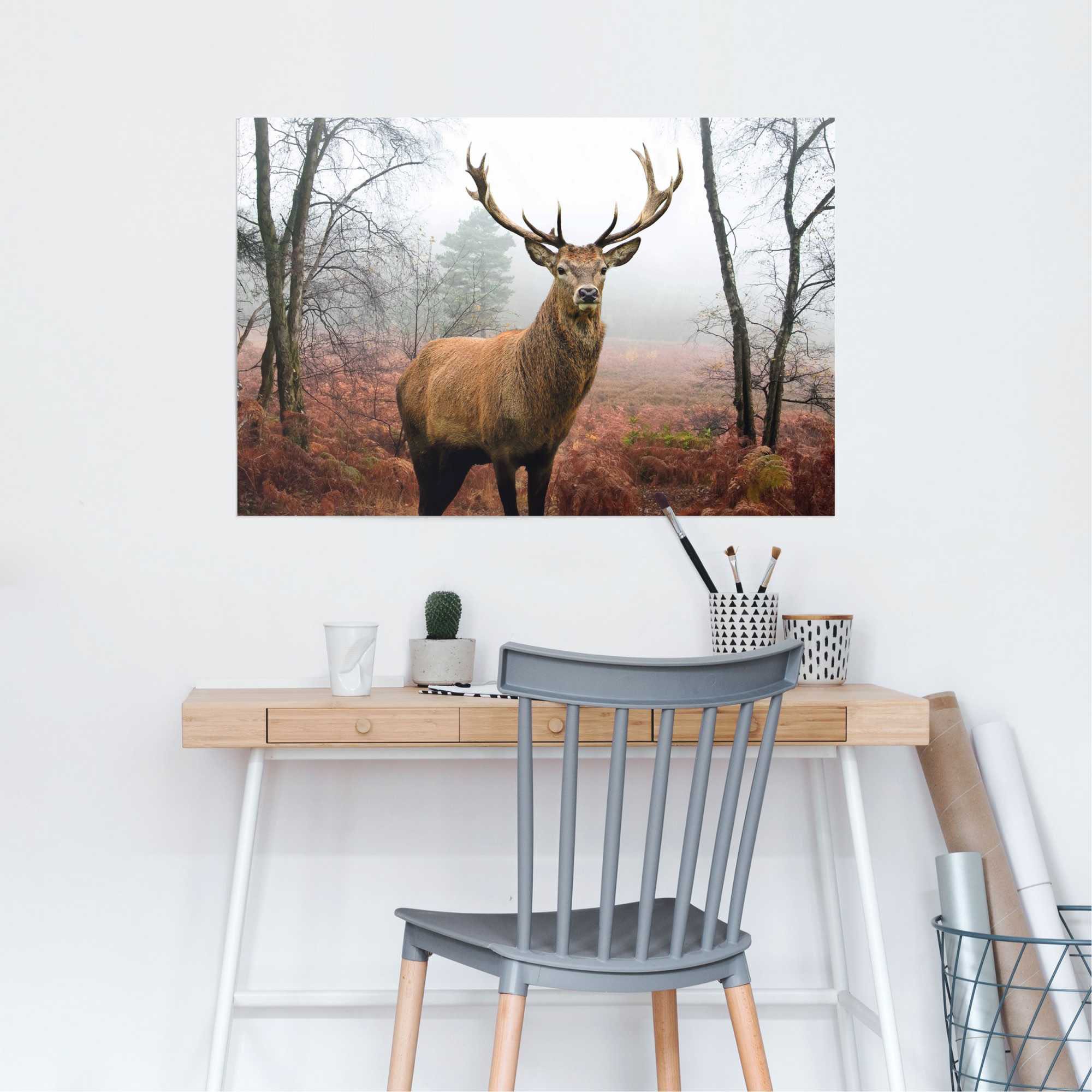 Reinders! Poster »Hirsch im Wald«, (1 St.)