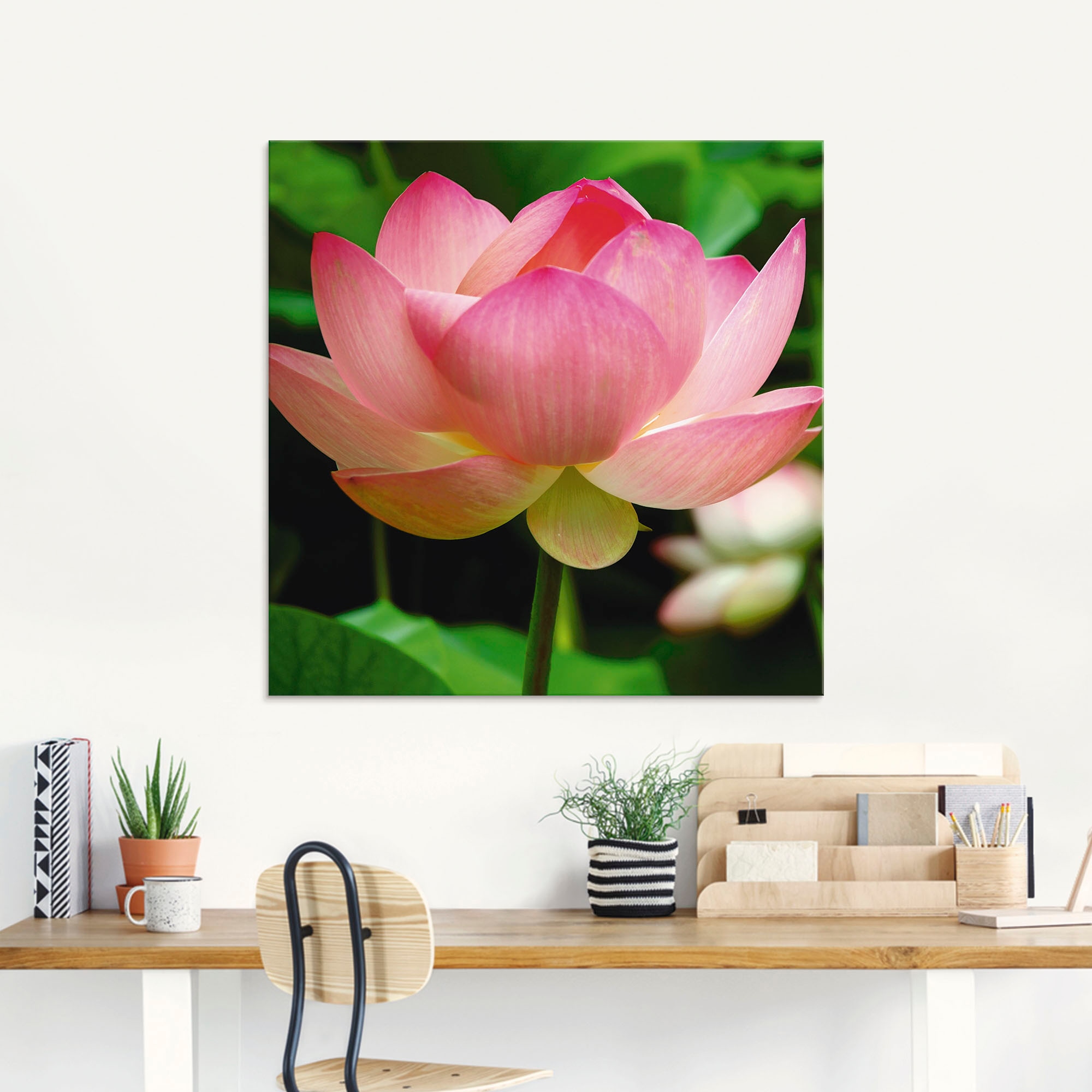 Artland Glasbild »Lotus - Seerose«, Blumen, (1 St.), in verschiedenen Größen
