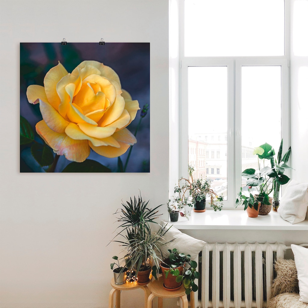 Artland Wandbild »Gelbe Rose«, Blumen, (1 St.)