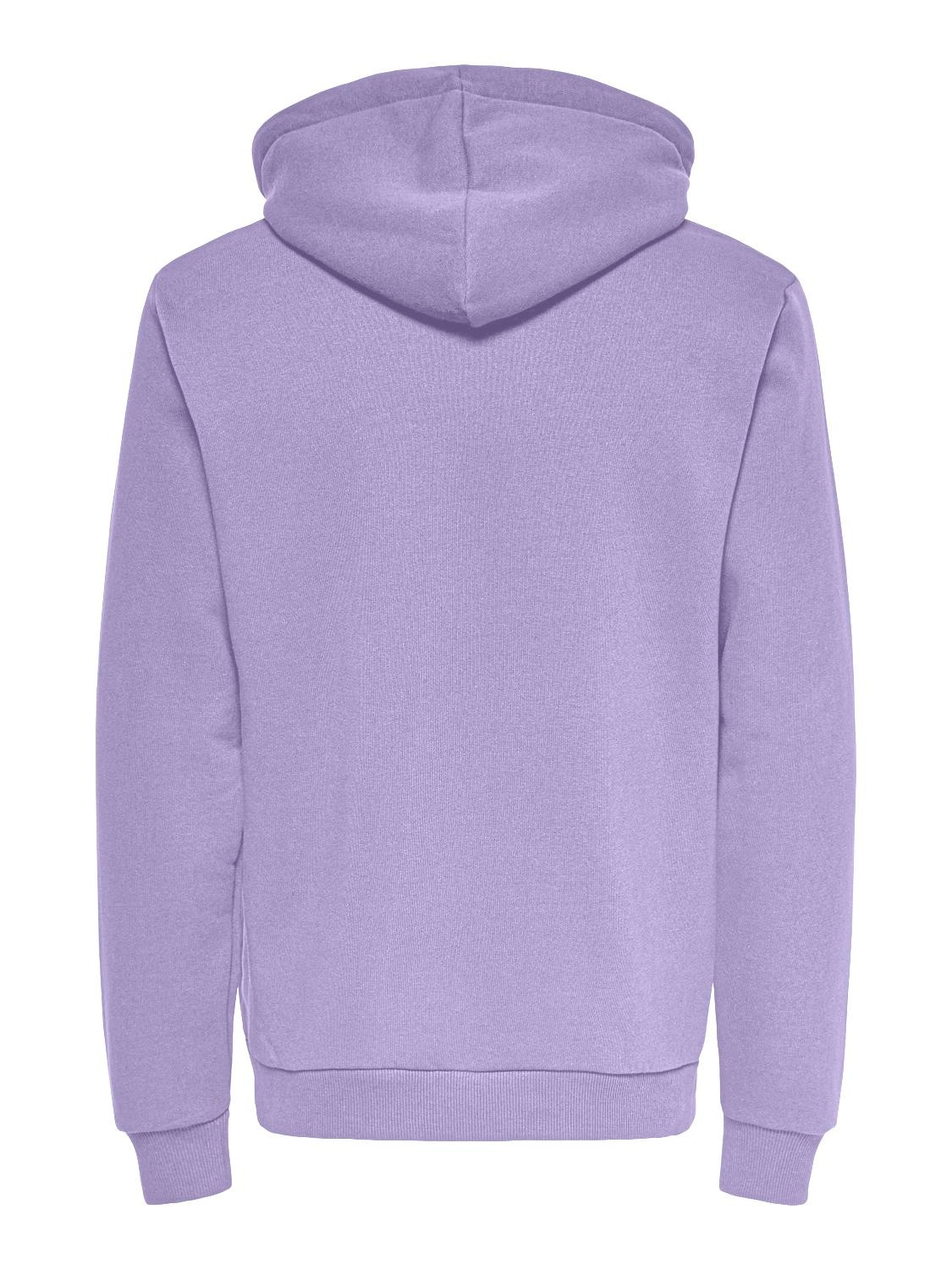 ONLY & SONS Kapuzensweatshirt »ONSCERES HOODIE SWEAT NOOS«