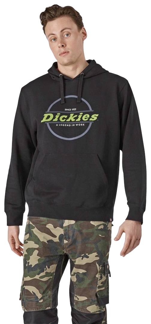 Dickies Kapuzensweatshirt »Towson-Graphic-Hoodie«