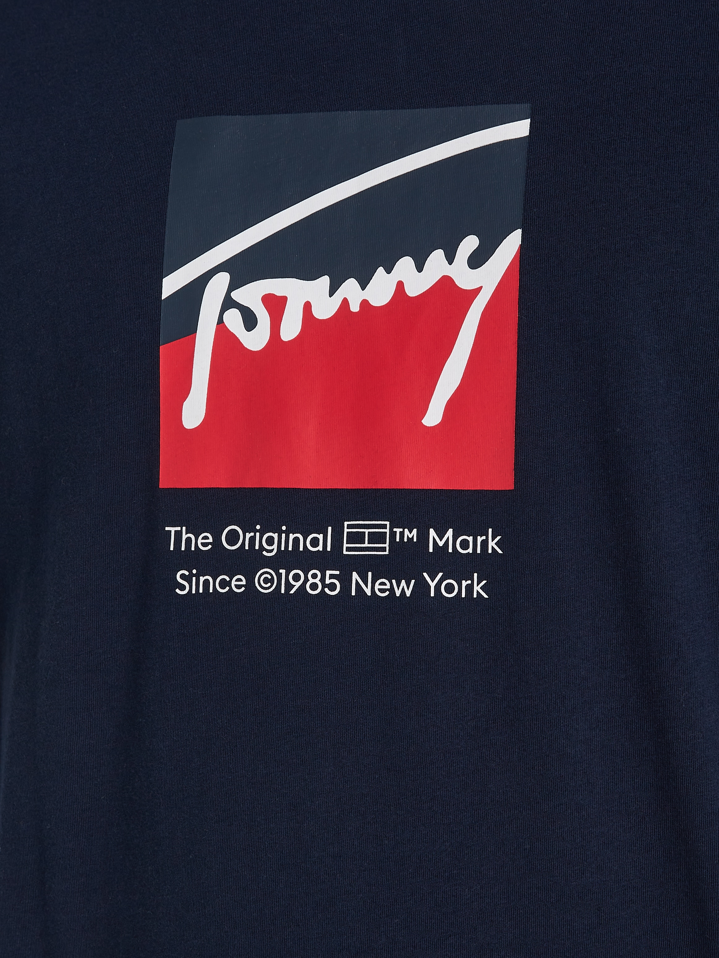 Tommy Jeans T-Shirt »TJM REG RWB DNA TEE«, mit Logoprint