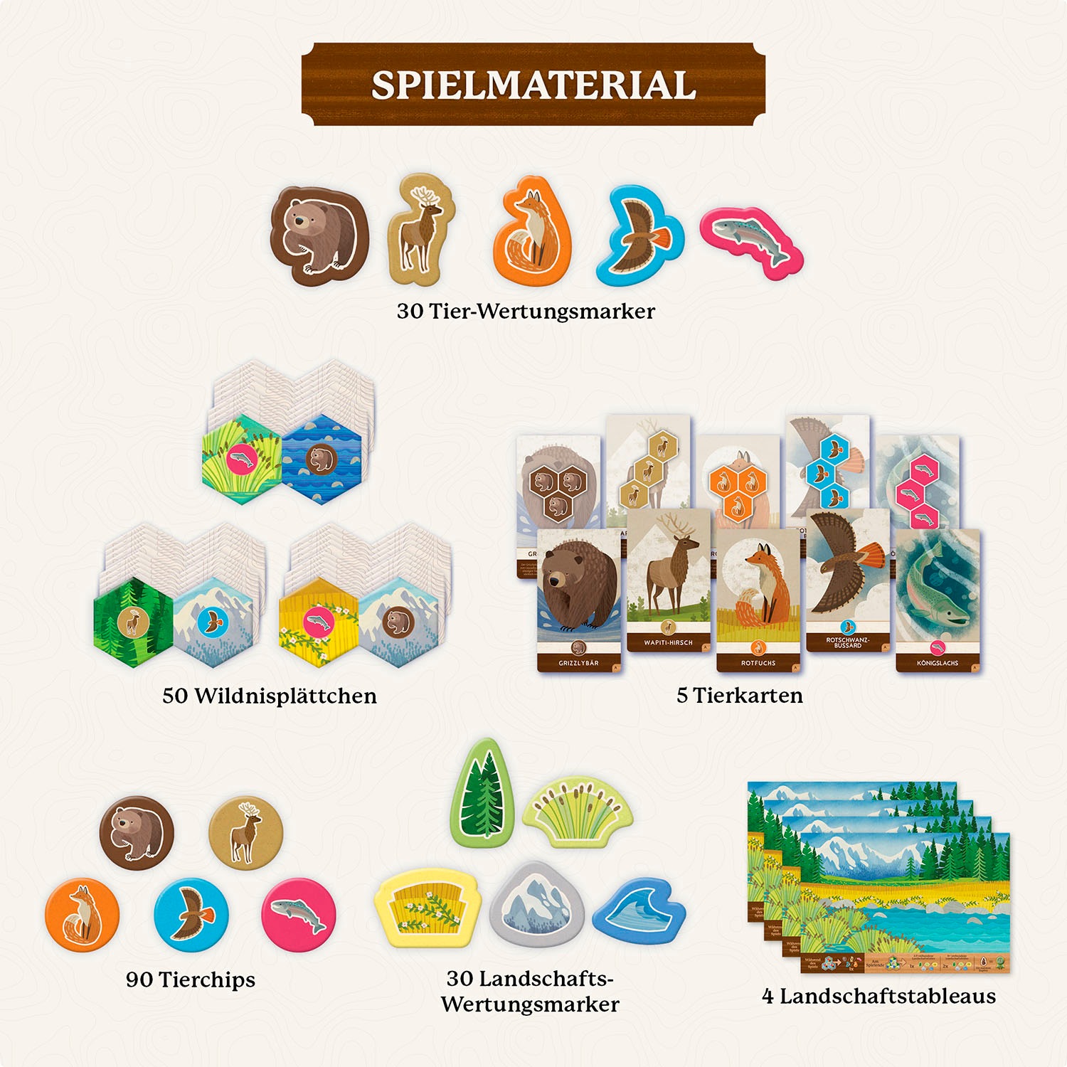 Kosmos Spiel »Cascadia Junior«