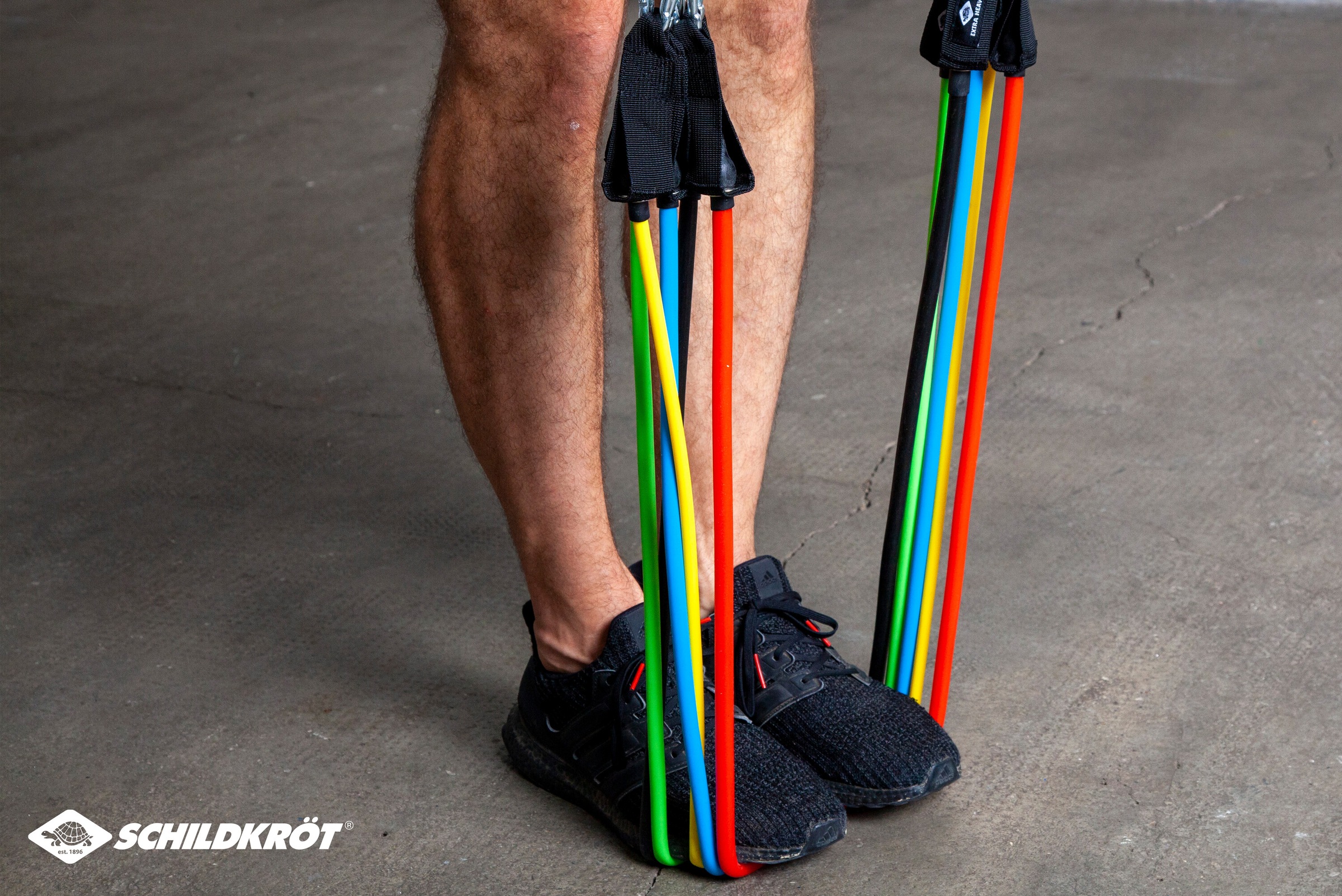 Schildkröt Kraftbänder bis zu 29 verschiedene Widerstandslevel