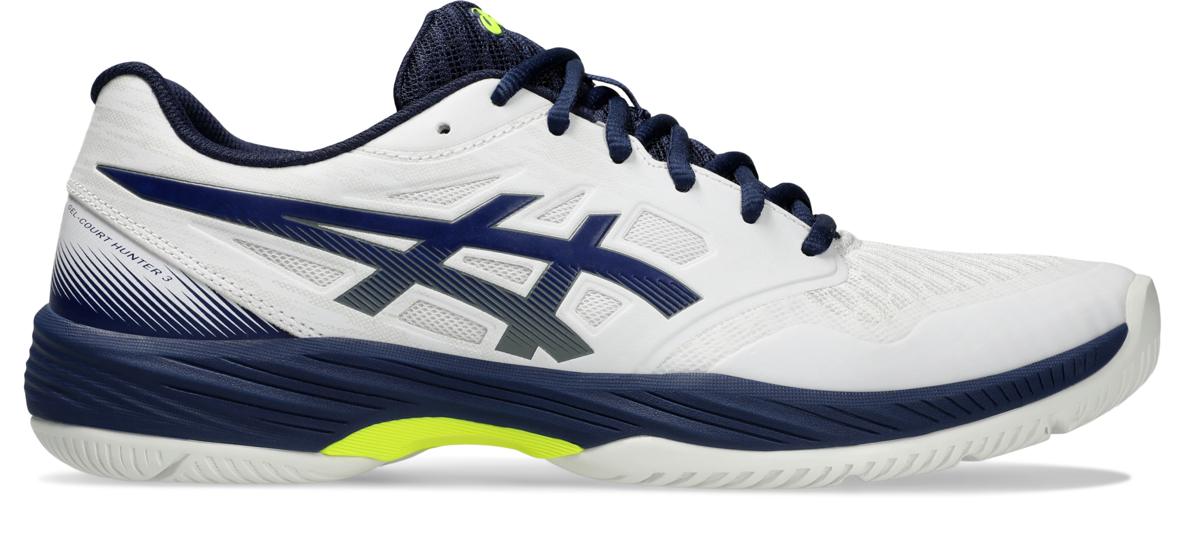 Asics Indoorschuh »GEL-COURT HUNTER 3«