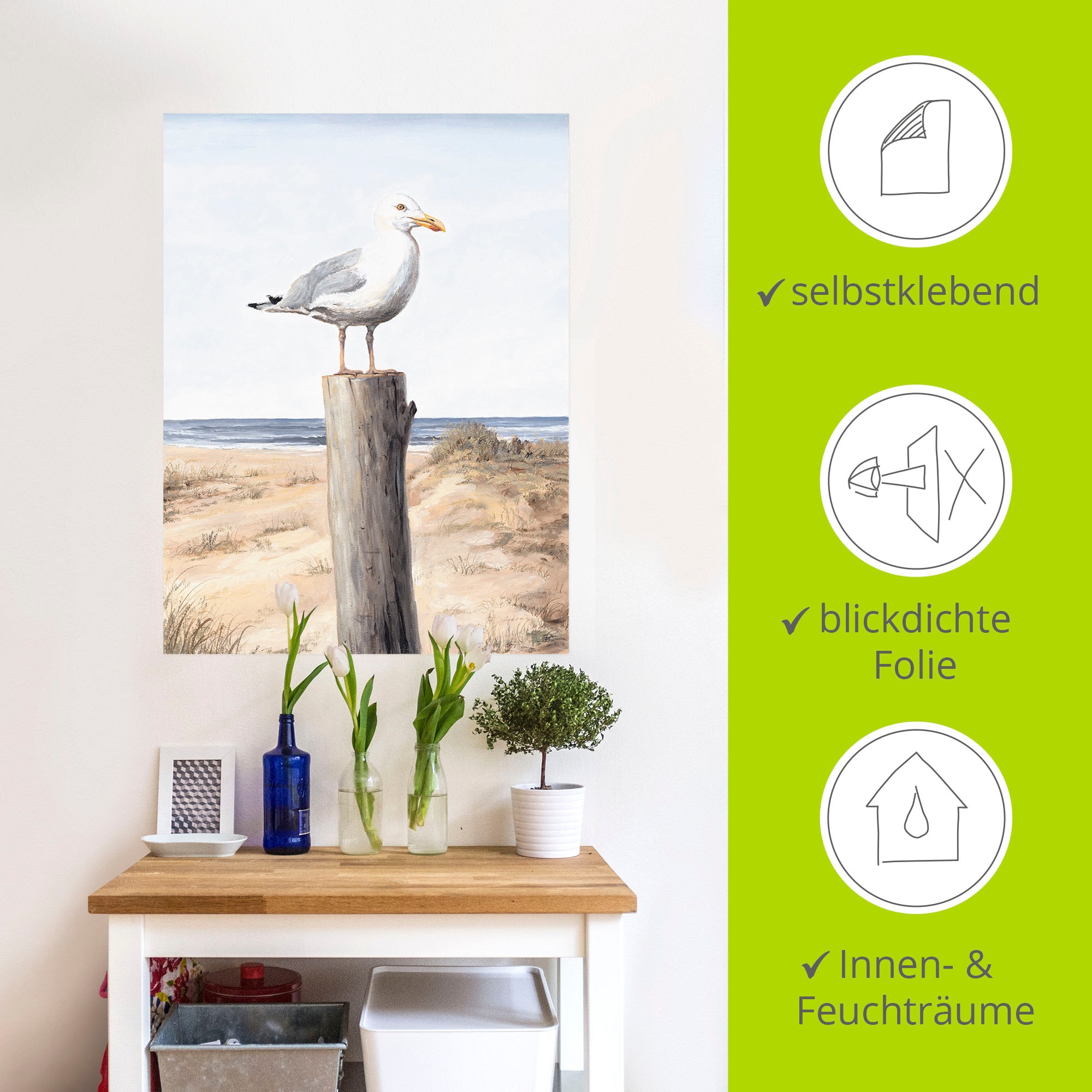 Artland Wandbild »Möwe«, Vögel, (1 St.), als Alubild, Outdoorbild, Leinwandbild, Poster, Wandaufkleber