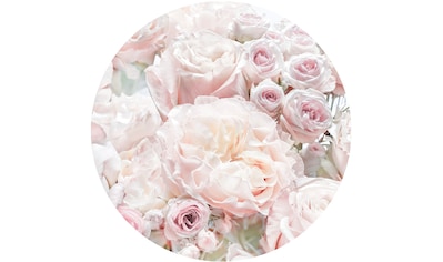 Fototapete »Pink and Cream Roses«