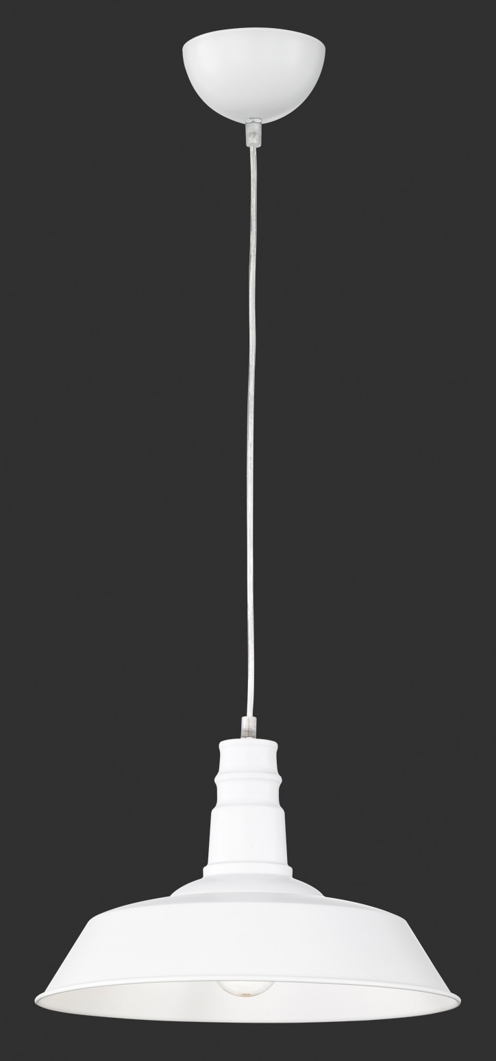 REALITY Leuchten Pendelleuchte »WILL« E27 Hängeleuchte, Hängelampe