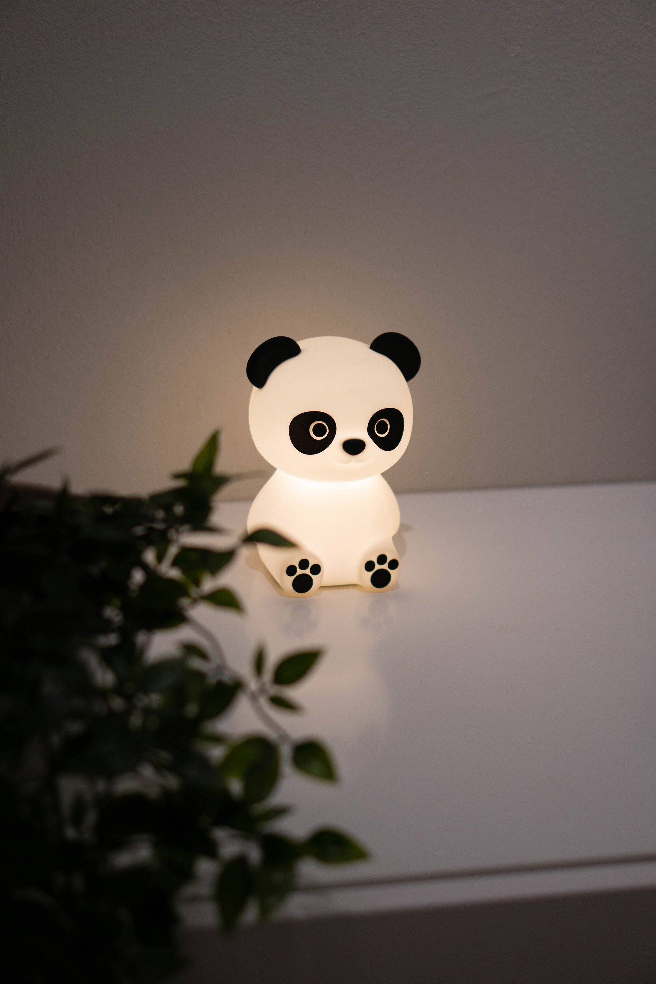 niermann LED Nachtlicht Pandy mit Jahren Paddy flammig-flammig, Pandy«, 3 Garantie online Nachtlicht »Paddy 1 | kaufen XXL