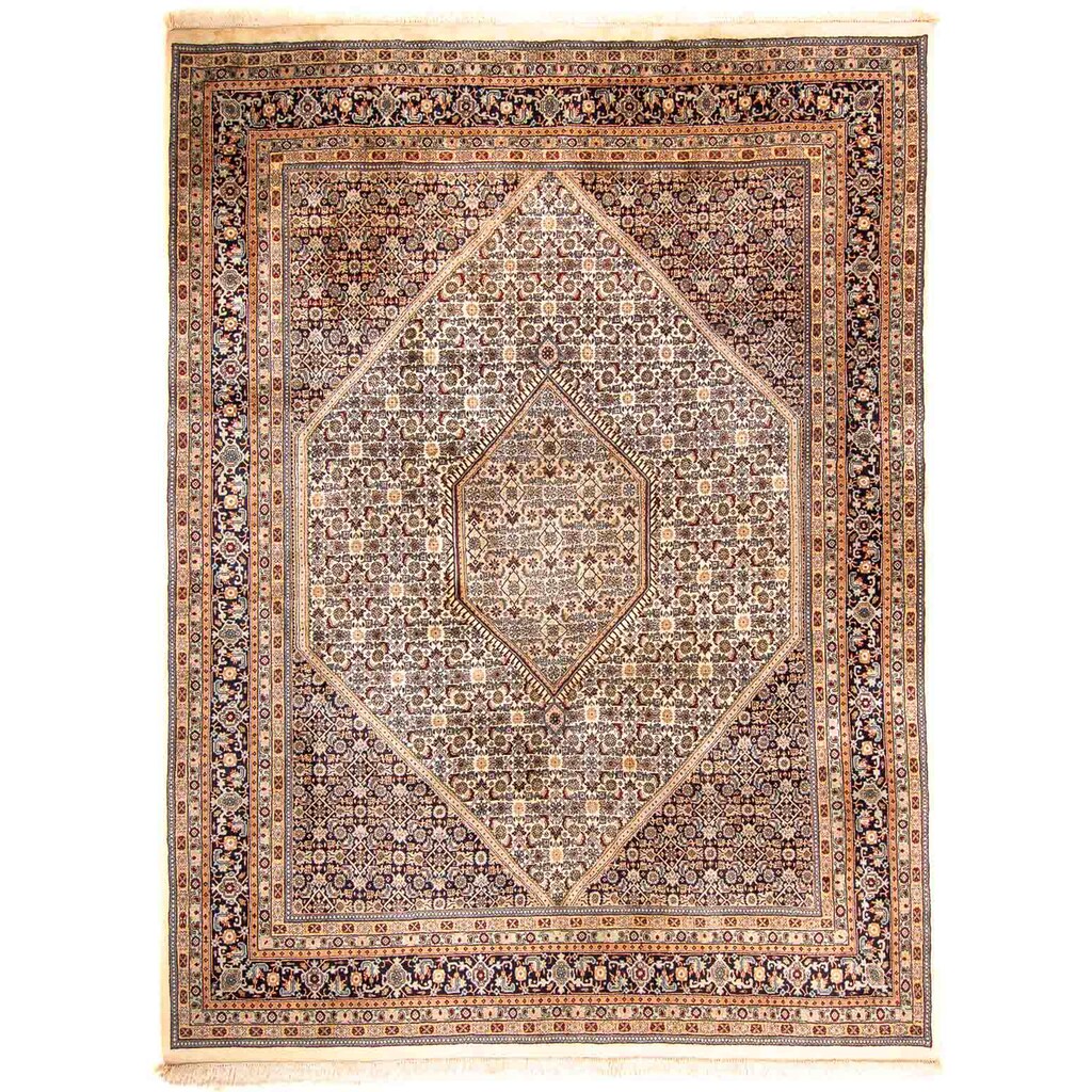 morgenland Orientteppich »Bidjar - Indus - 300 x 200 cm - beige«, rechteckig