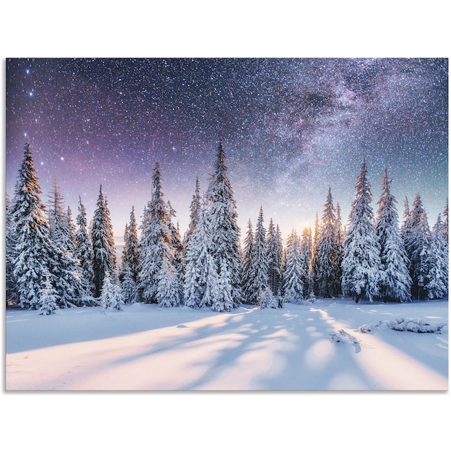 Artland Wandbild »Tannenwald im Schnee vorm Sternenhimmel«, Berge &  Alpenbilder, (1 St.), als Alubild, Outdoorbild, Leinwandbild, Poster in  verschied. Größen auf Raten bestellen