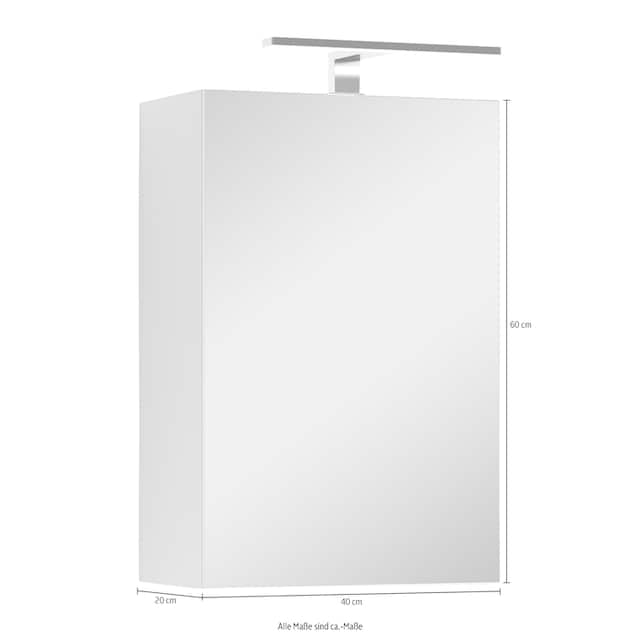 byLIVING Spiegelschrank »Spree«, Breite 40 cm, 1-türig, mit LED Beleuchtung  und Schalter-/Steckdosenbox online kaufen | mit 3 Jahren XXL Garantie