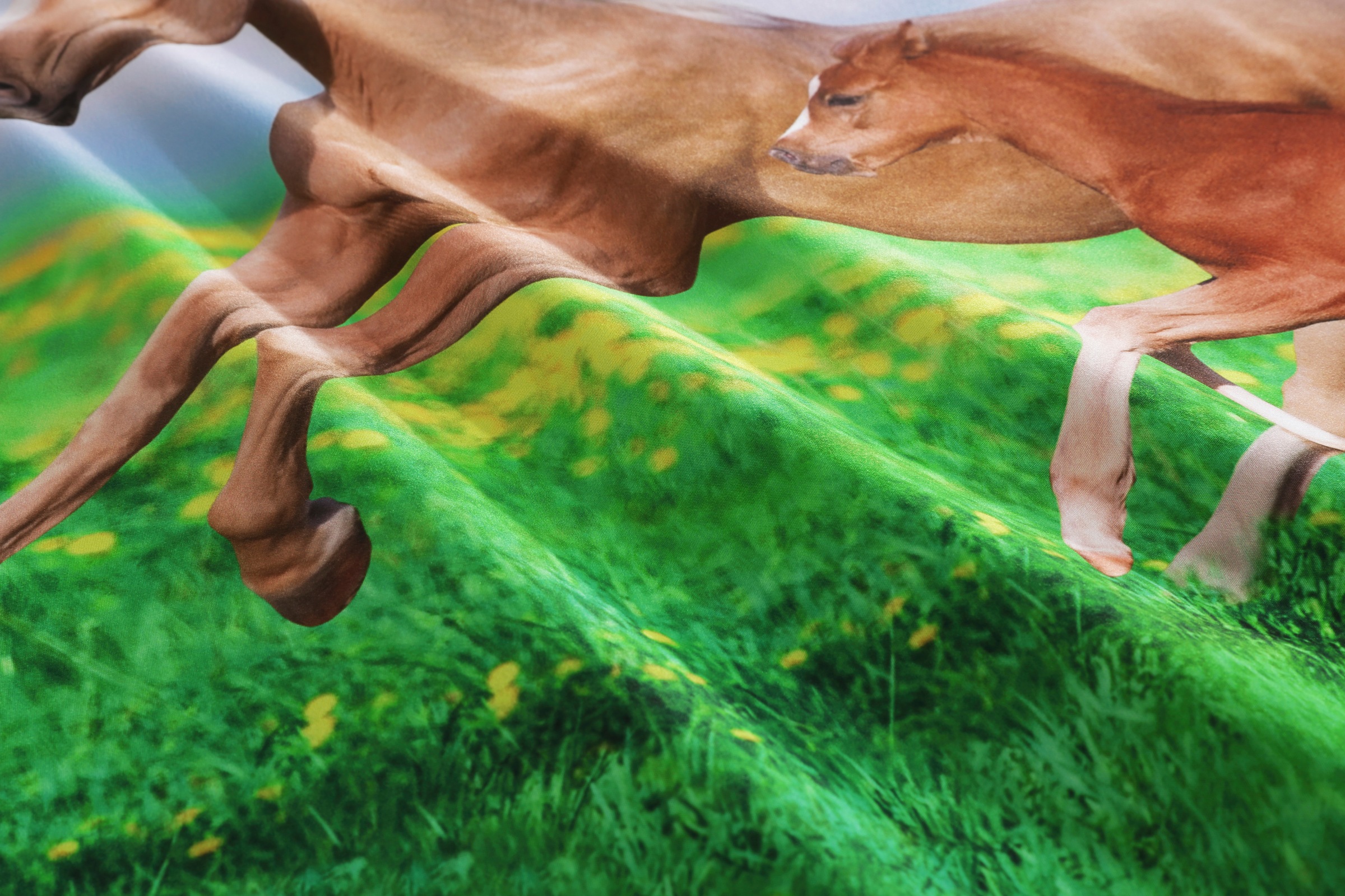 my home Bettwäsche »Lyki« 2 tlg. ab Größe 135x200 cm, 100% Polyester, Katze, Pferd, Löwe, Pinguin