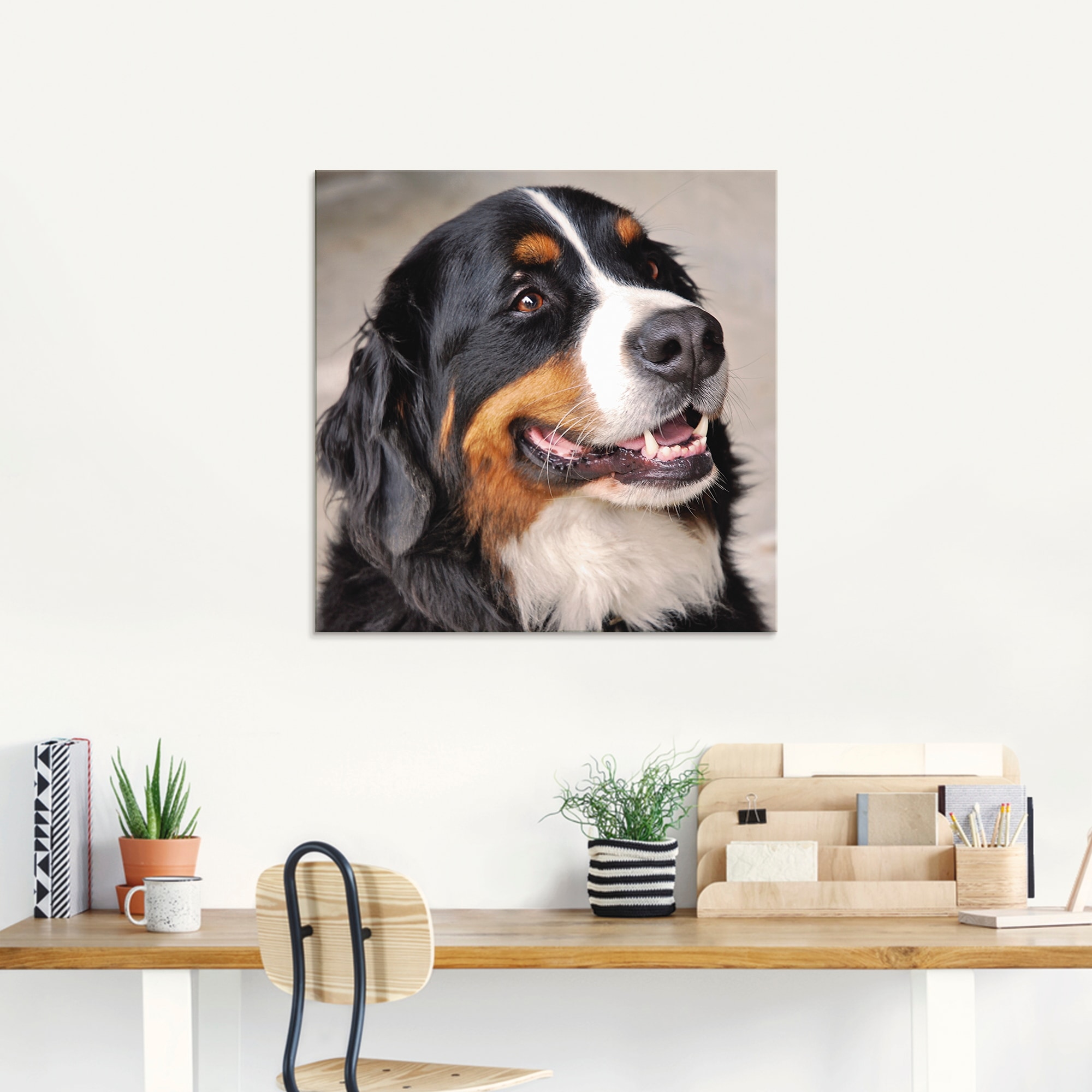 Artland Glasbild »Berner Sennenhund«, Haustiere, (1 St.), in verschiedenen Größen