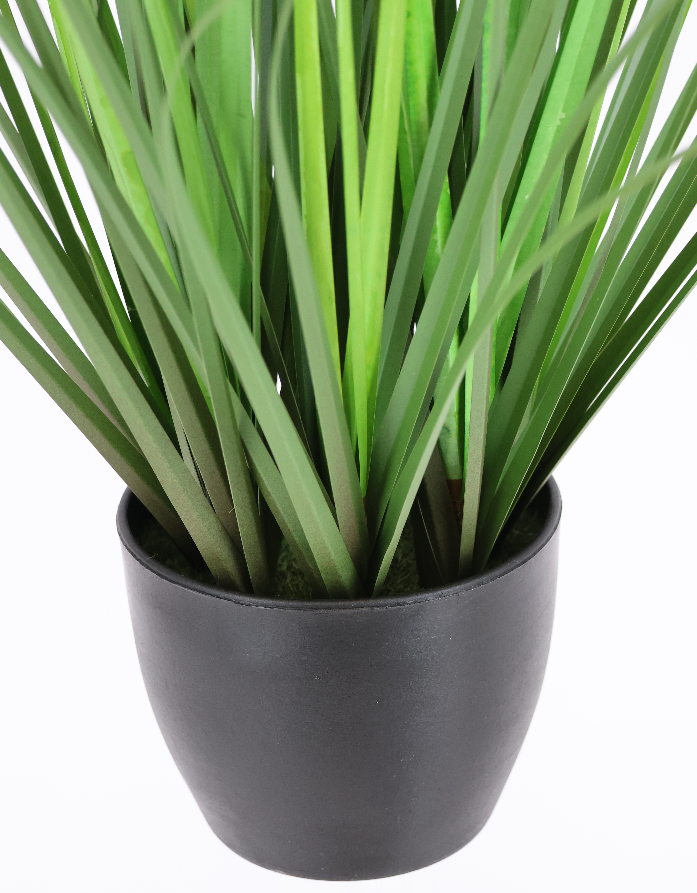 I.GE.A. Kunstpflanze »Protea im Grasbusch«