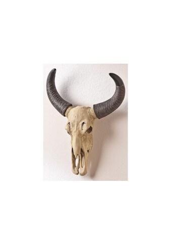 HOFMANN LIVING AND MORE Dekogeweih »Büffelschädel« kaufen