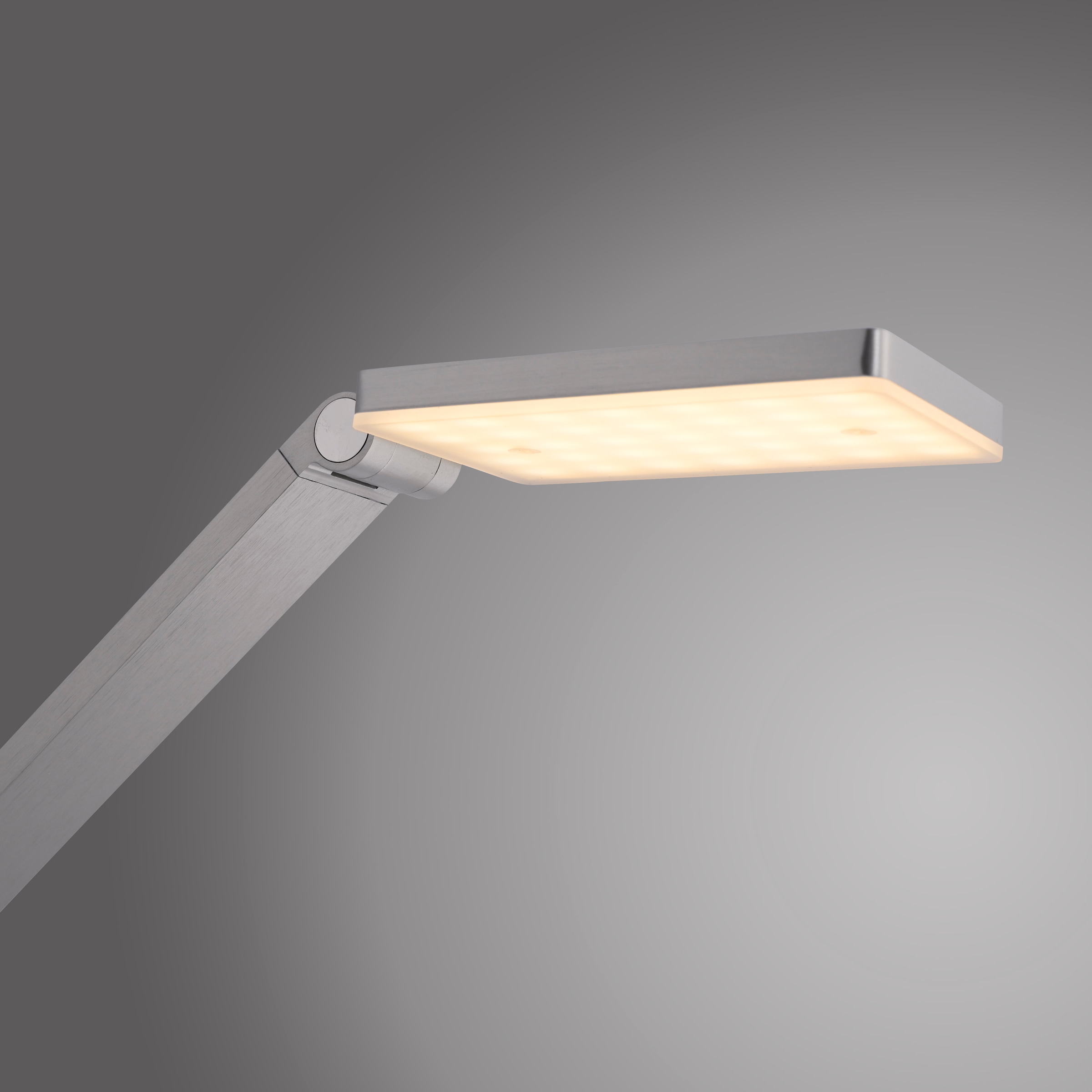 Paul Neuhaus LED Stehlampe »SAMSKY« LED-Board 1 Stk. warmweiß - kaltweiß Tastdimmer, CCT 2700-5000K, Memory, Höhenverstellbar