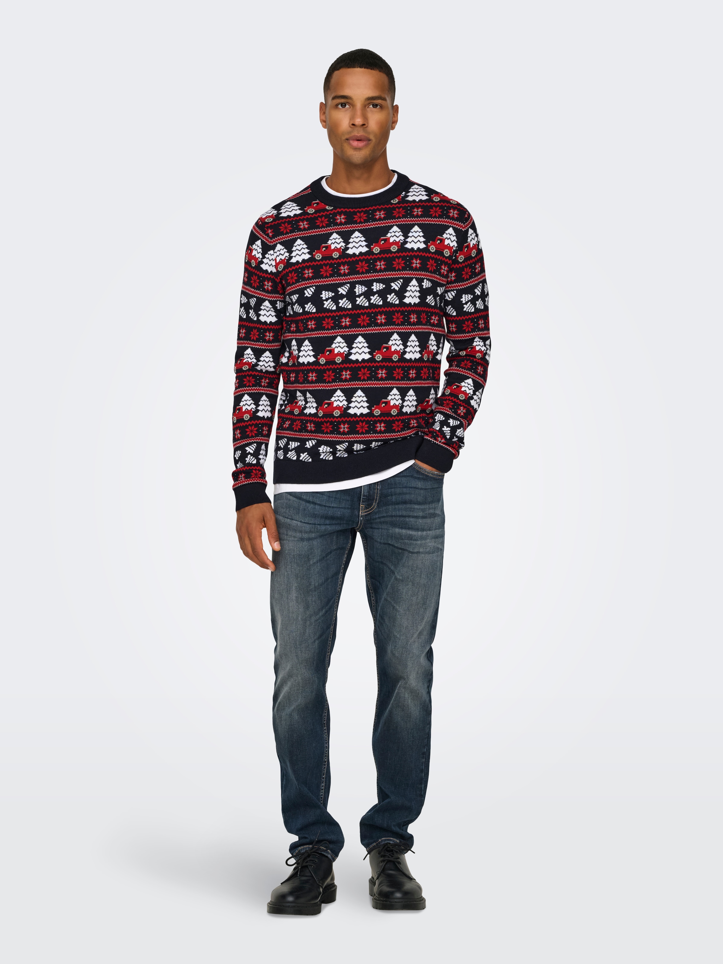 ONLY & SONS Rundhalspullover »ONSXMAS REG 5 JAQ CREW KNIT«