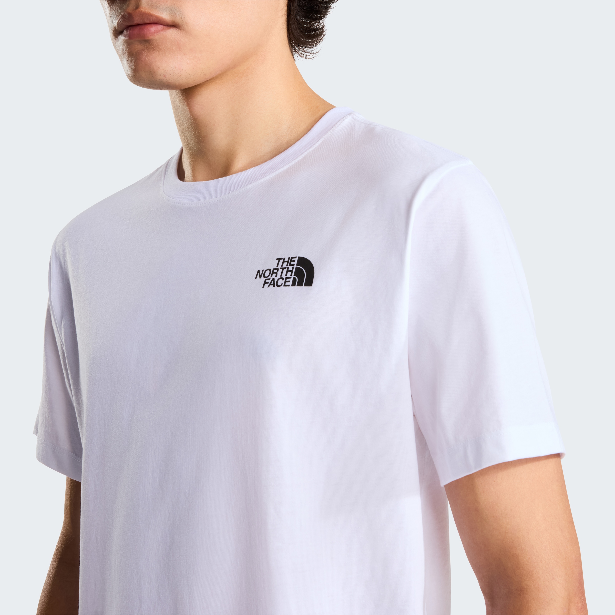 The North Face T-Shirt »M EVOLUTION BOX NSE REGULAR SHORT SLEEVE« normale Passform, Kurzarm, aus Baumwollmischjersey