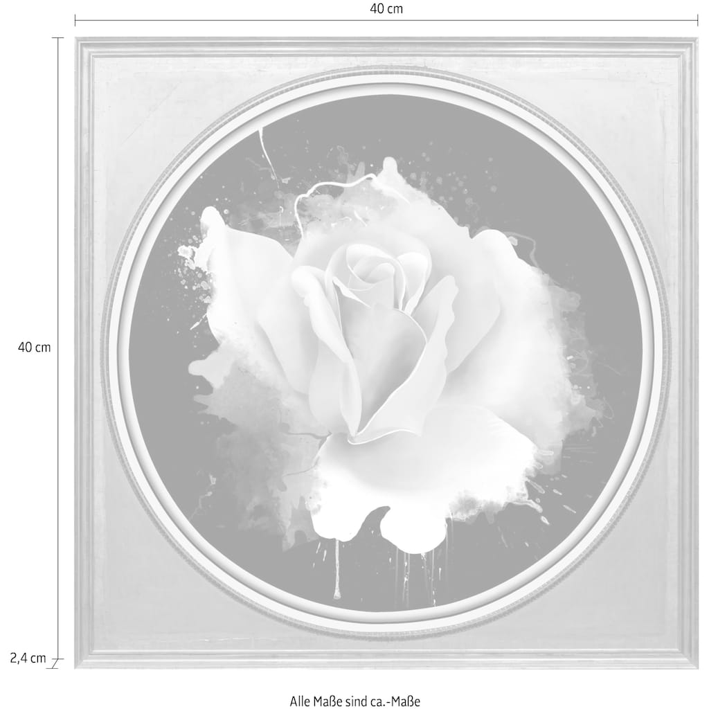 queence Acrylglasbild »Rose«