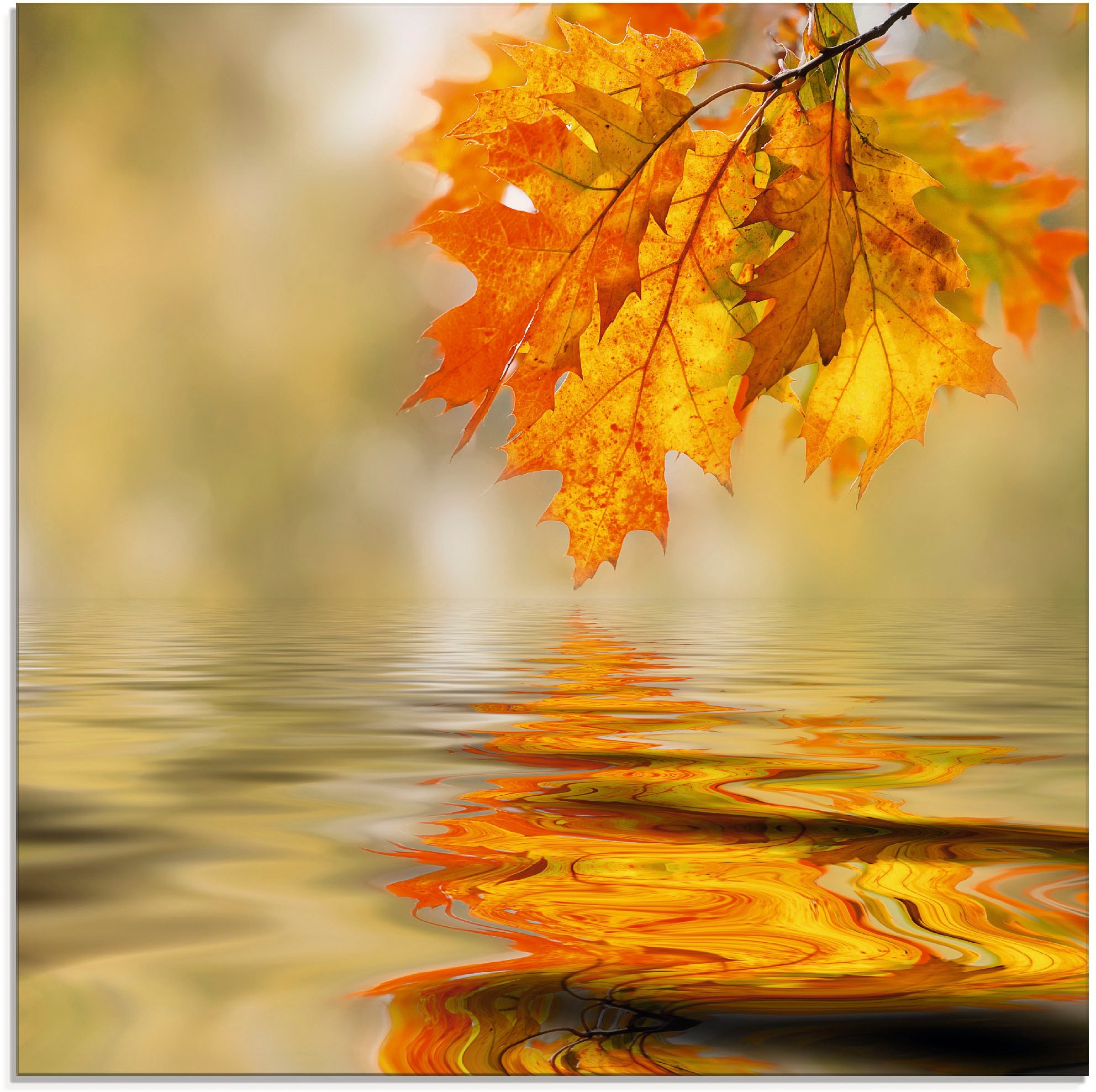 Artland Glasbild »Herbstblätter«, Blätter, (1 St.), in verschiedenen Größen  auf Rechnung bestellen