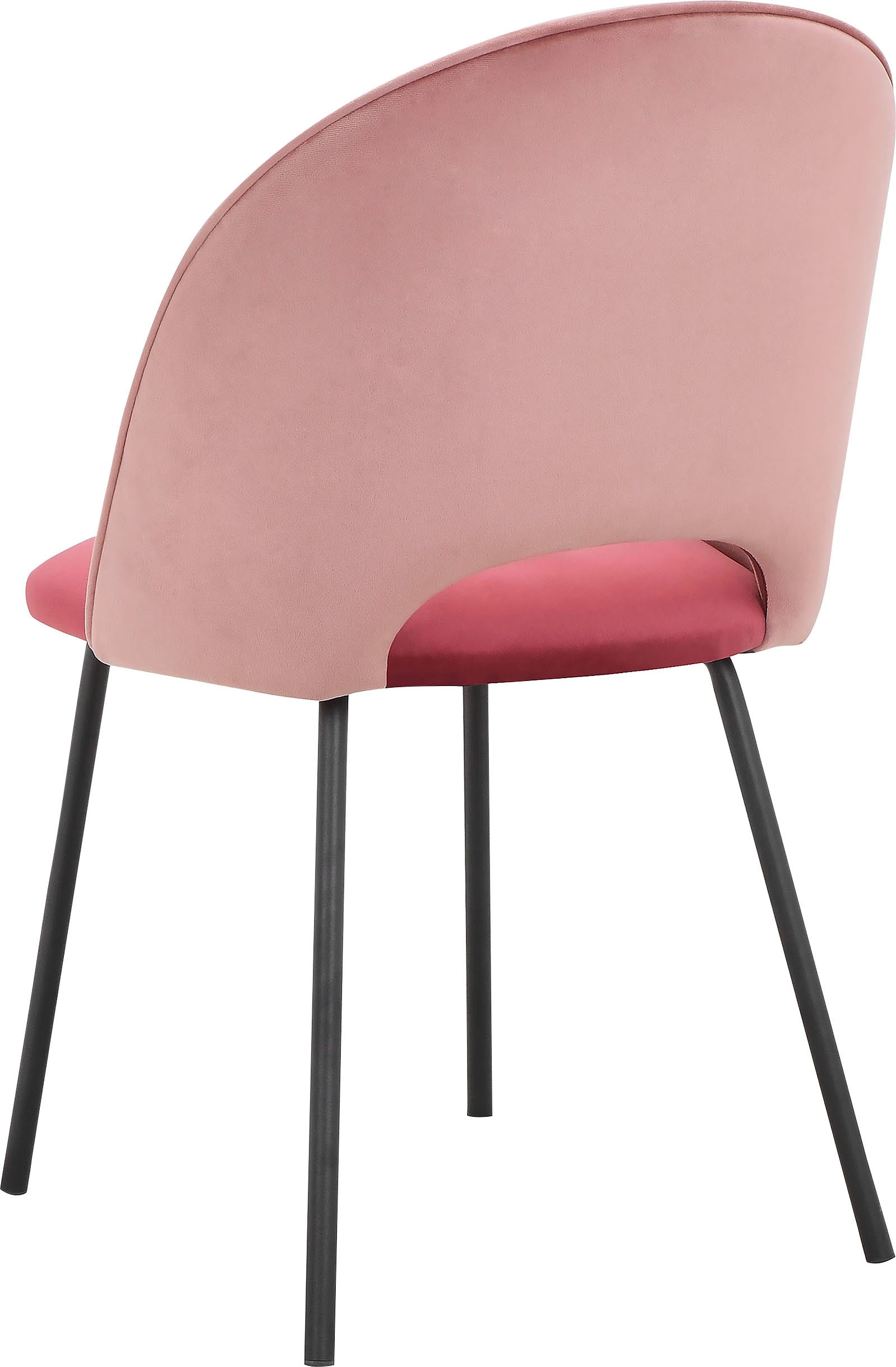 INOSIGN Esszimmerstuhl »Elif«, 2 St., Veloursstoff, im 2er Set erhältlich, mit Sitz und Rückenlehne, Sitzhöhe 50 cm