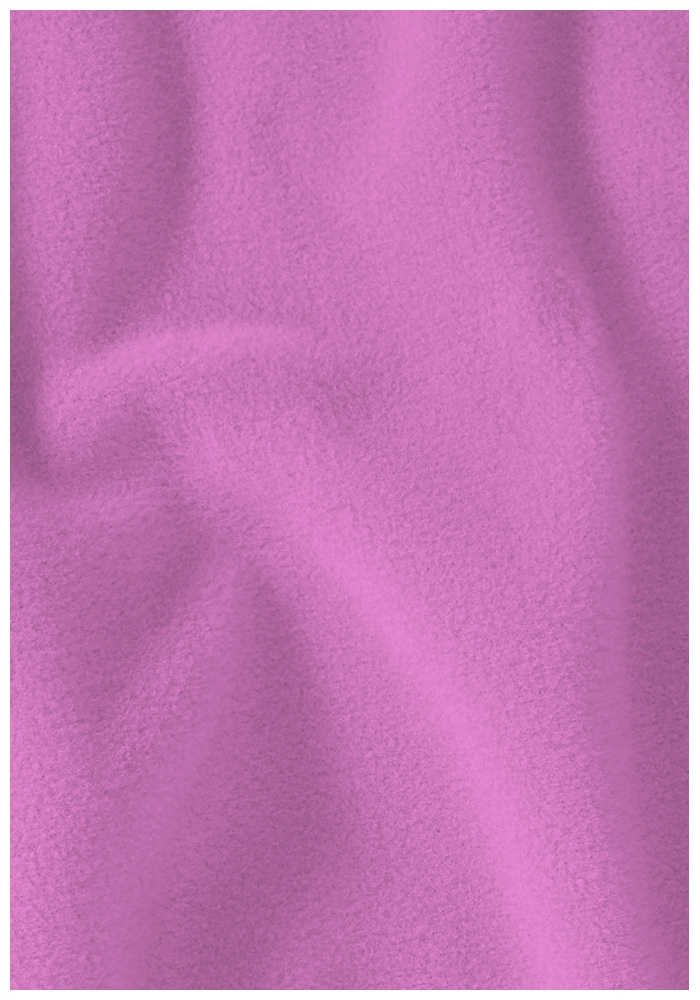 Jack Wolfskin Fleecejacke »TAUNUS 100 FZ W«