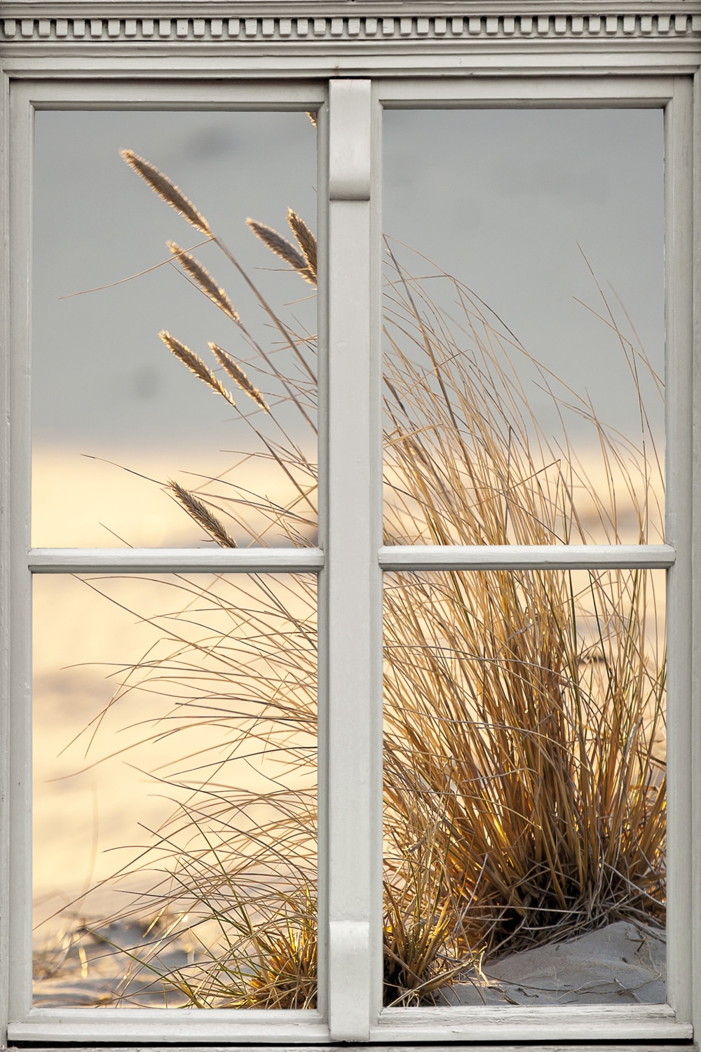 queence Leinwandbild "Düne" Düne  Fensterblick  Gräser  Natur 1 Stk. tlg. Premium-Leinwandstoff
