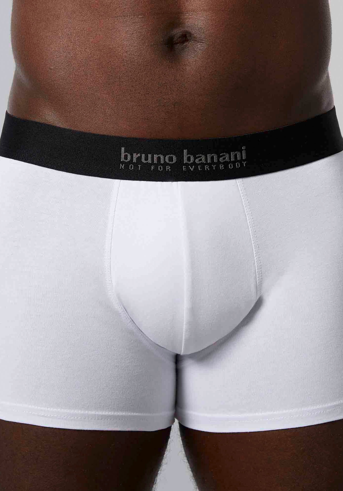Bruno Banani Boxershorts »Short 3Pack Energy Cotton«, (Packung, 3 St.),  Schriftzug am Bund bei ♕