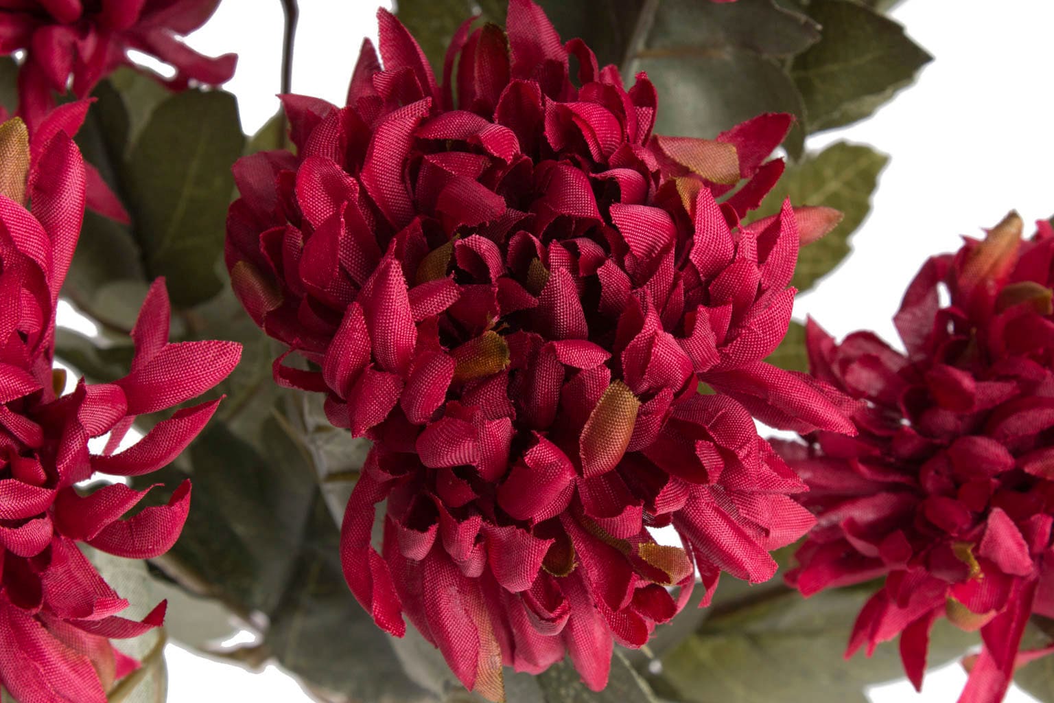 bequem »Chrysanthemenstrauß« Kunstblume Botanic-Haus kaufen