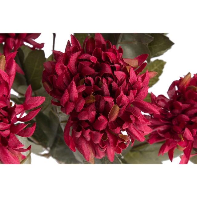Botanic-Haus Kunstblume »Chrysanthemenstrauß« bequem kaufen