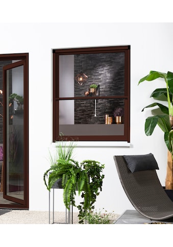 hecht international Insektenschutz-Fensterrahmen »SMART«, 160x160 cm, kürzbar kaufen